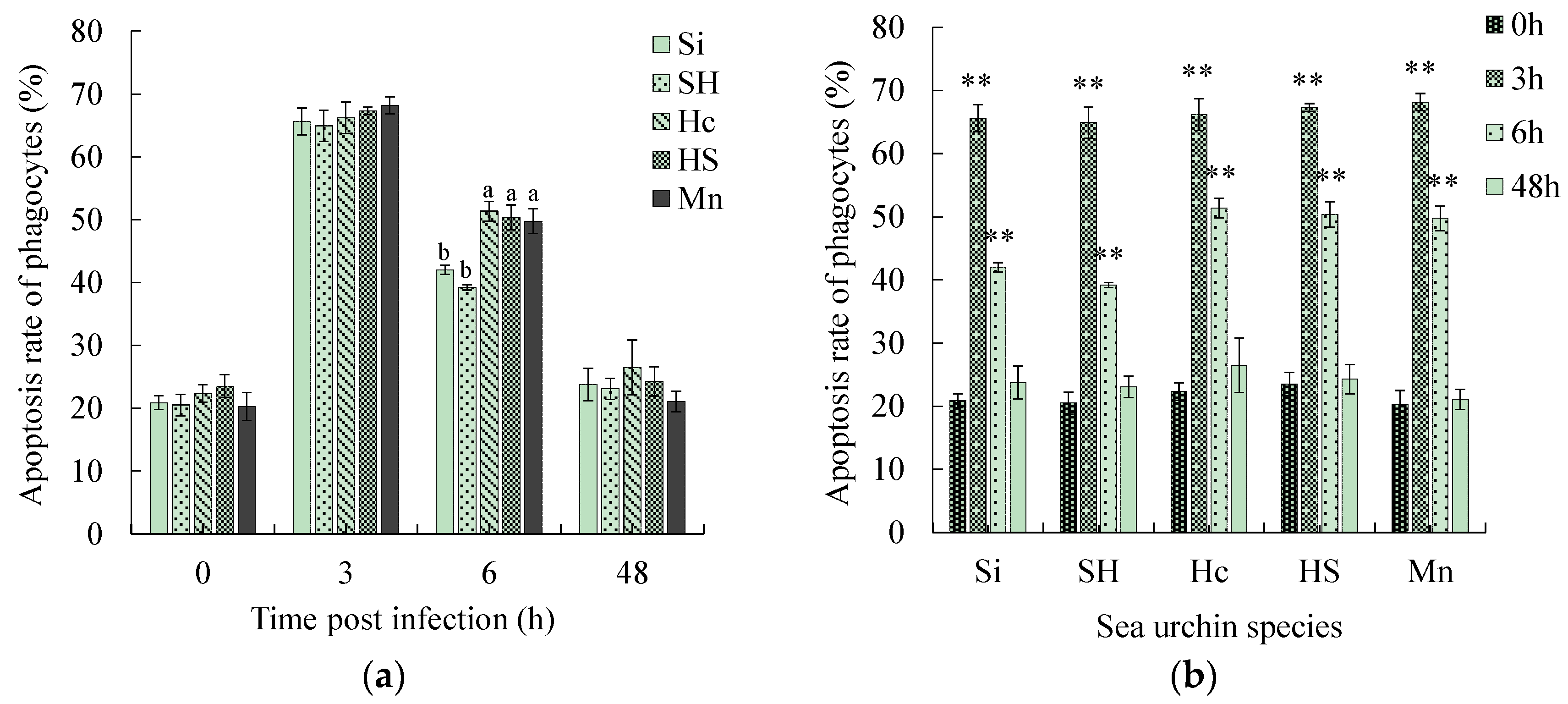 Biology 13 00495 g002a Biology 13 00495 g002a