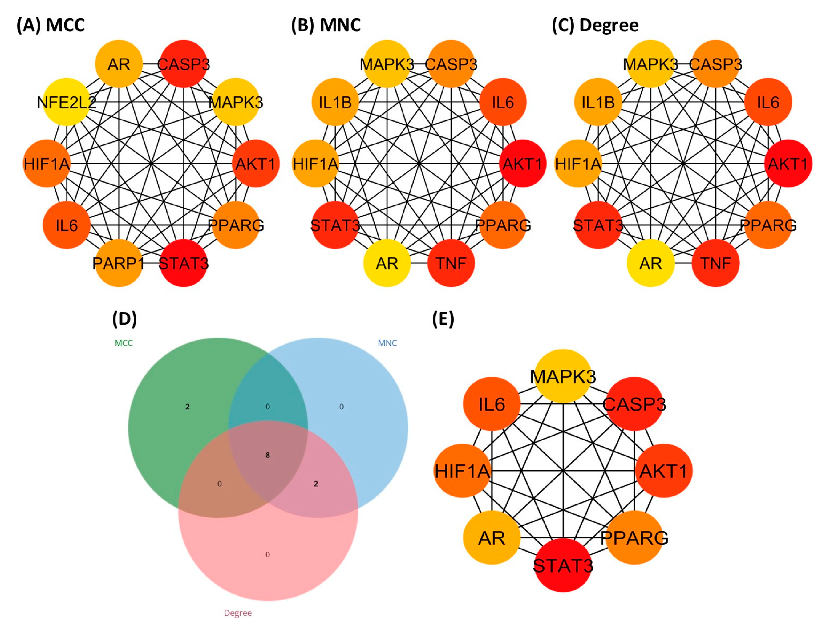 Biology 13 00497 g004