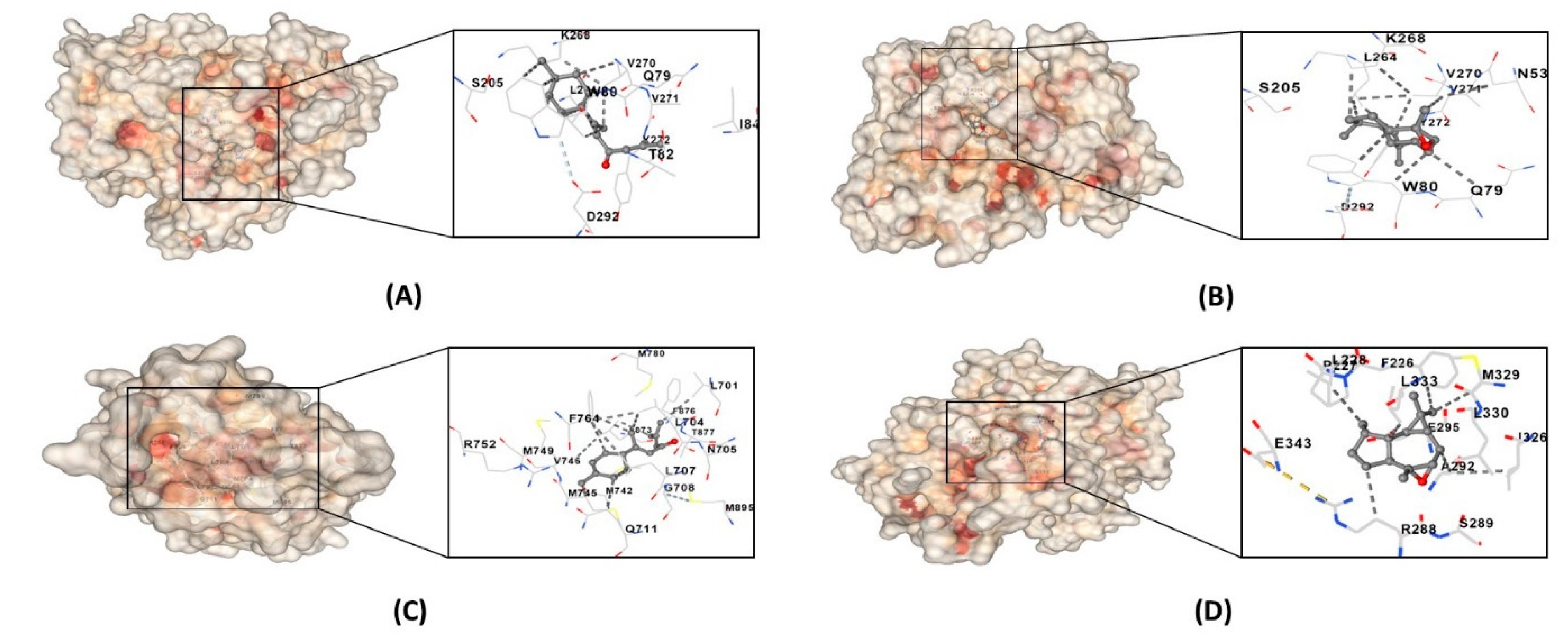 Biology 13 00497 g009