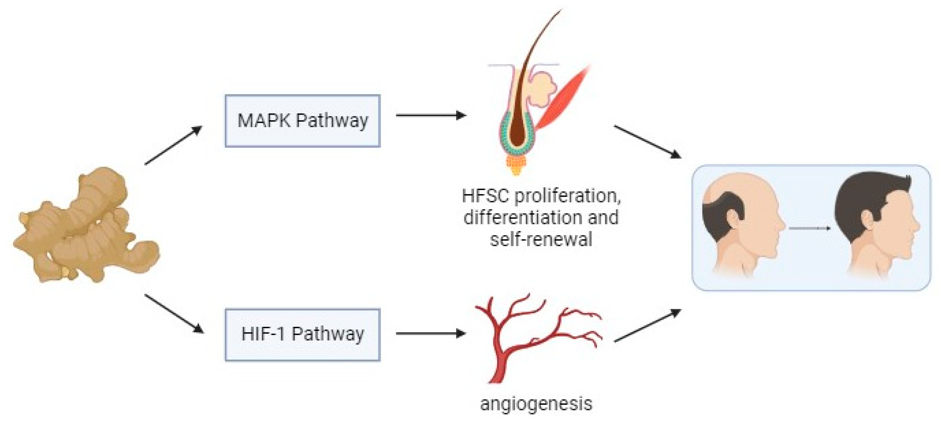 Biology 13 00497 g010