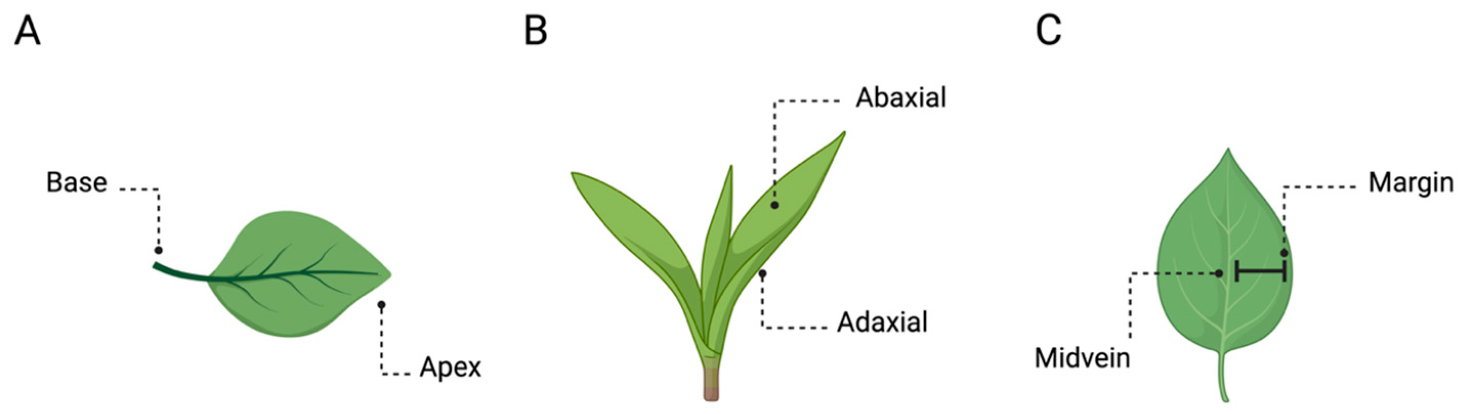 Biology 13 00502 g002