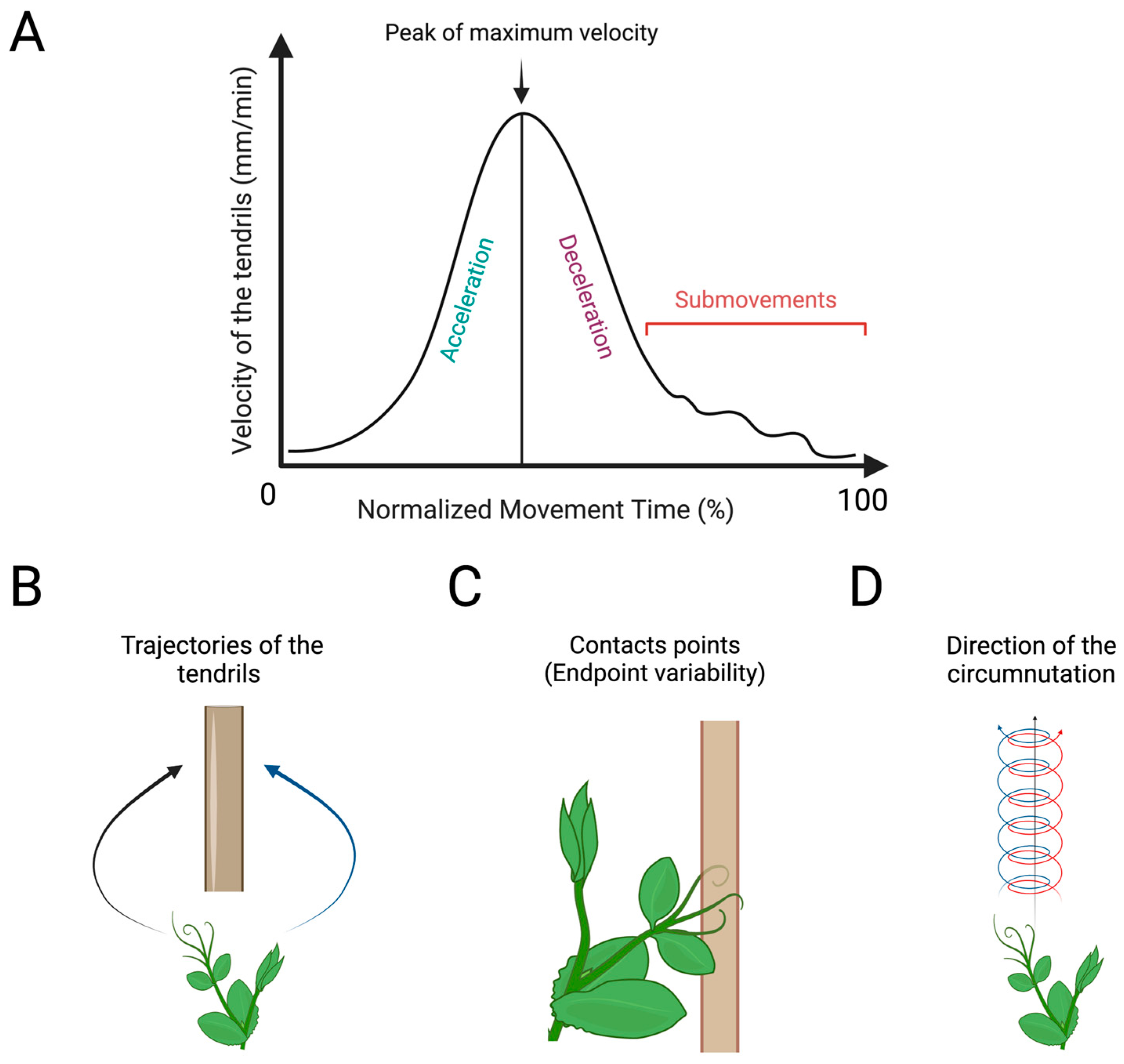 Biology 13 00502 g005