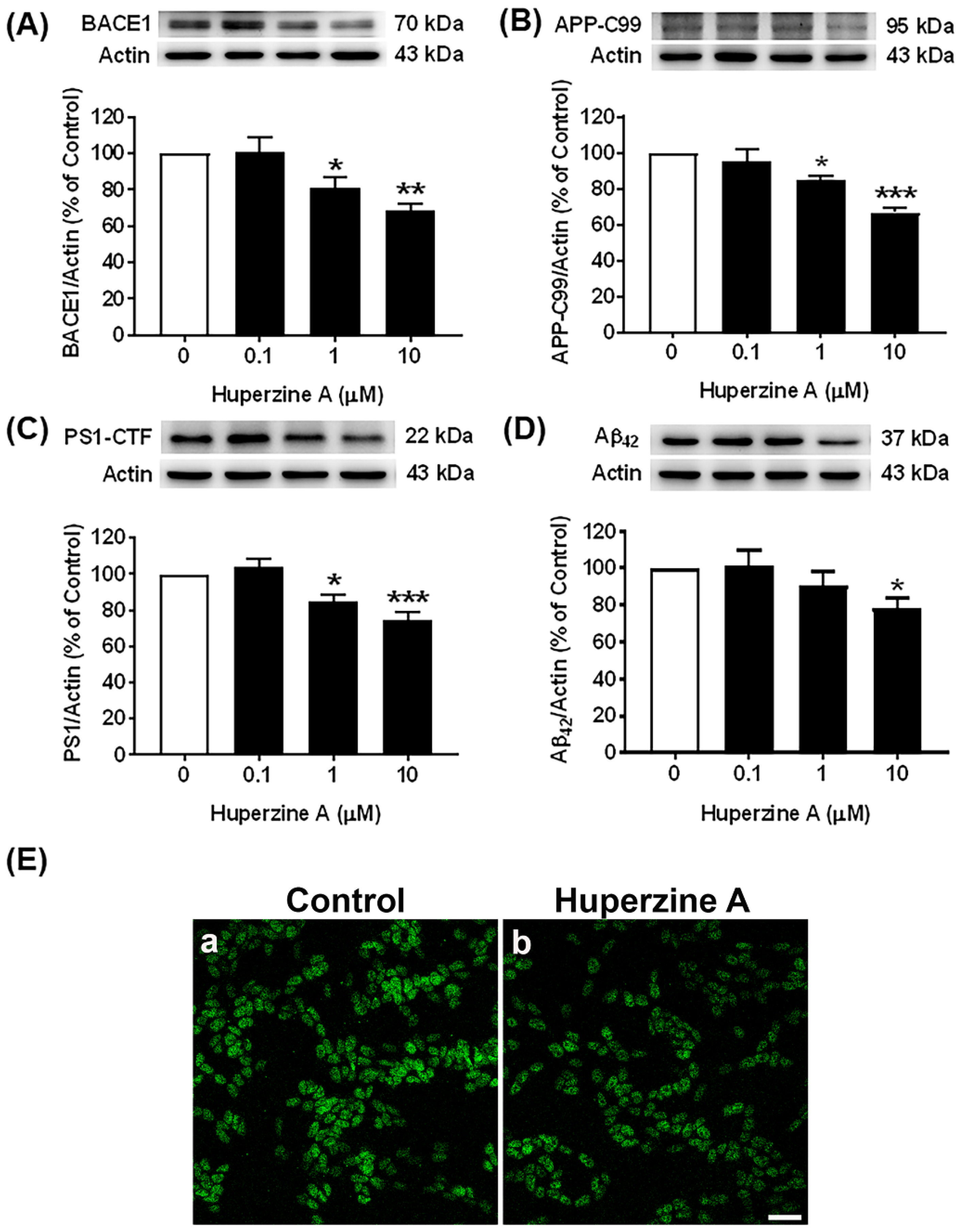 Biology 13 00518 g001