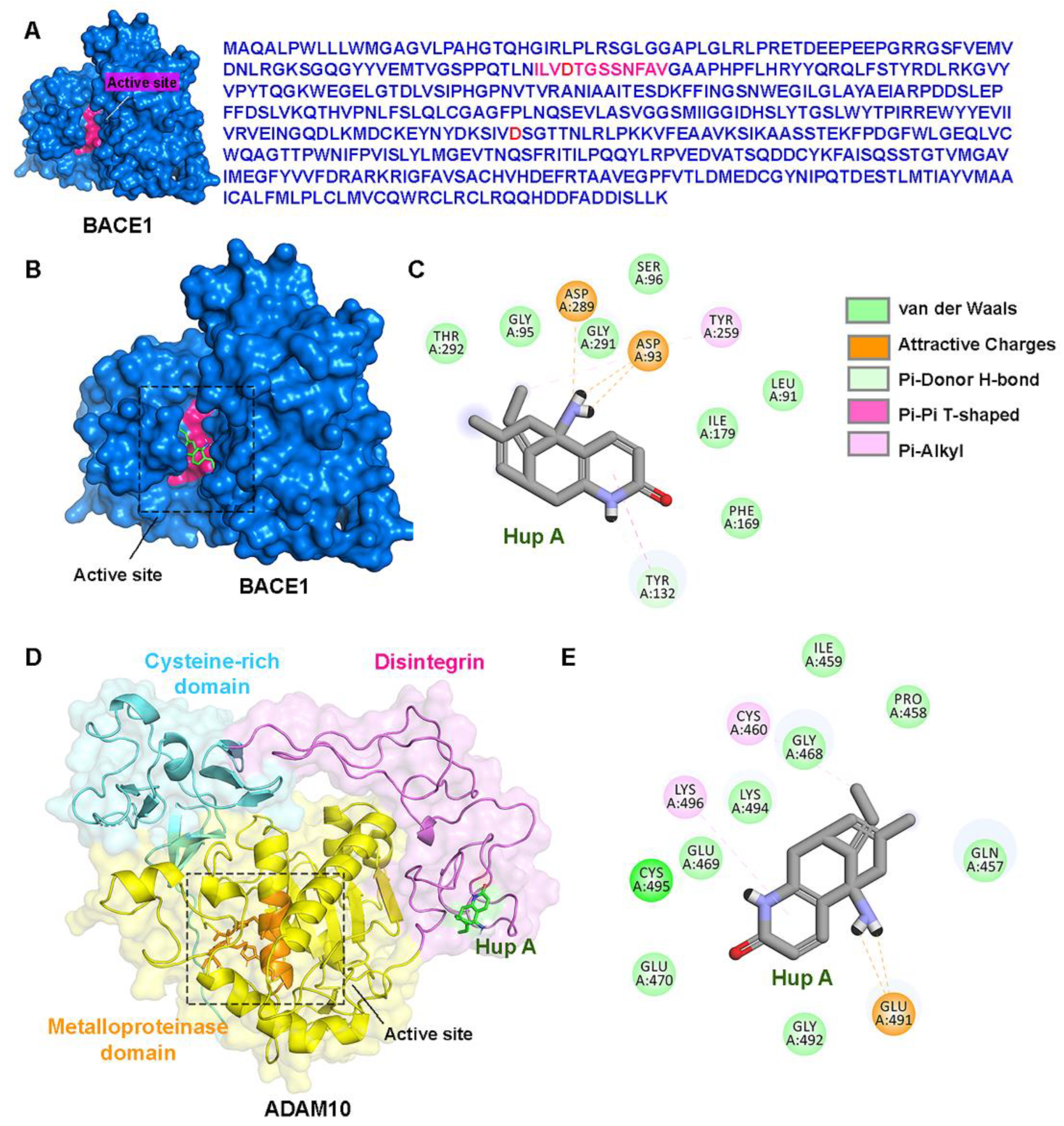 Biology 13 00518 g004