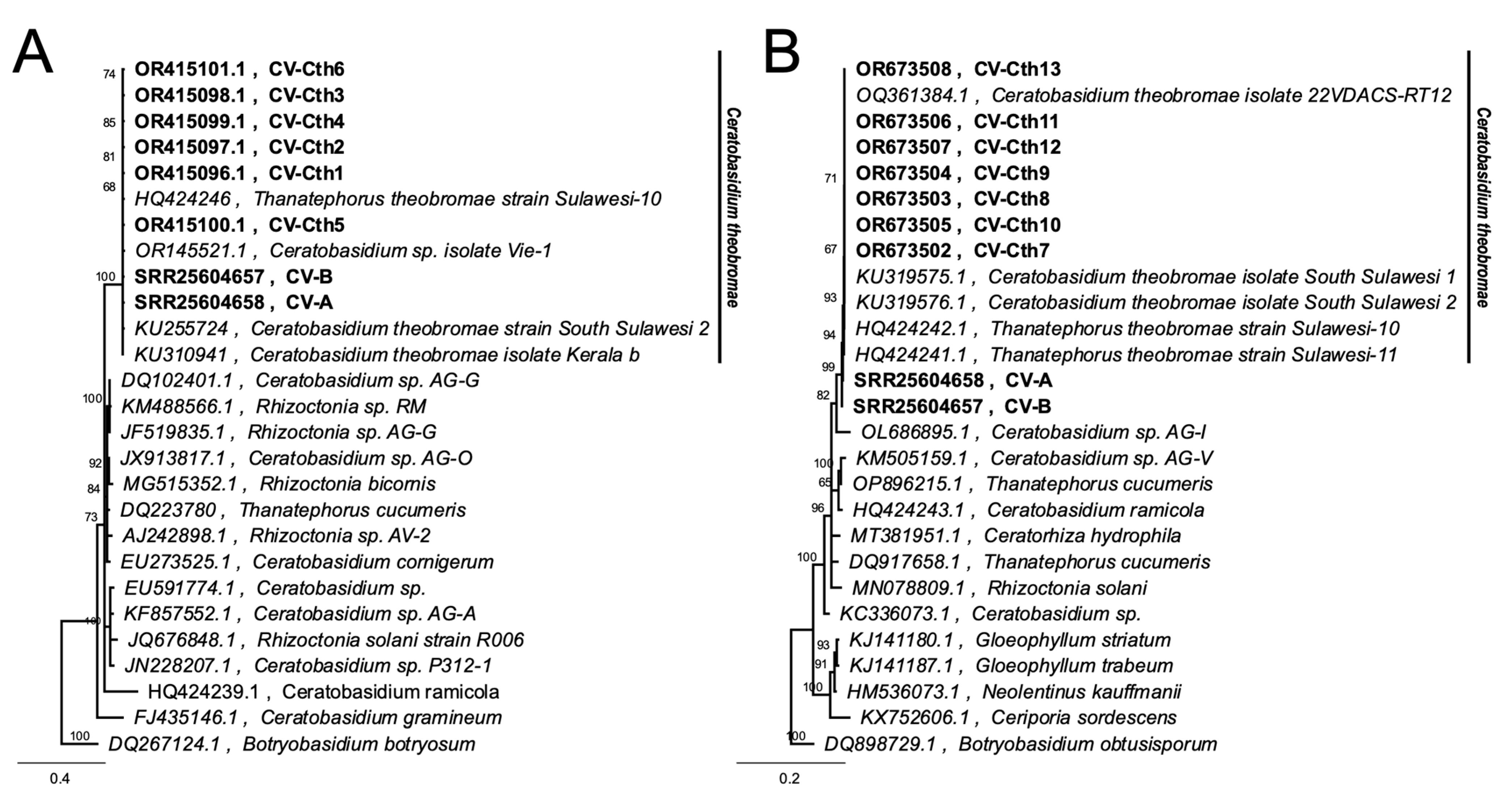 Biology 13 00522 g009 Biology 13 00522 g009