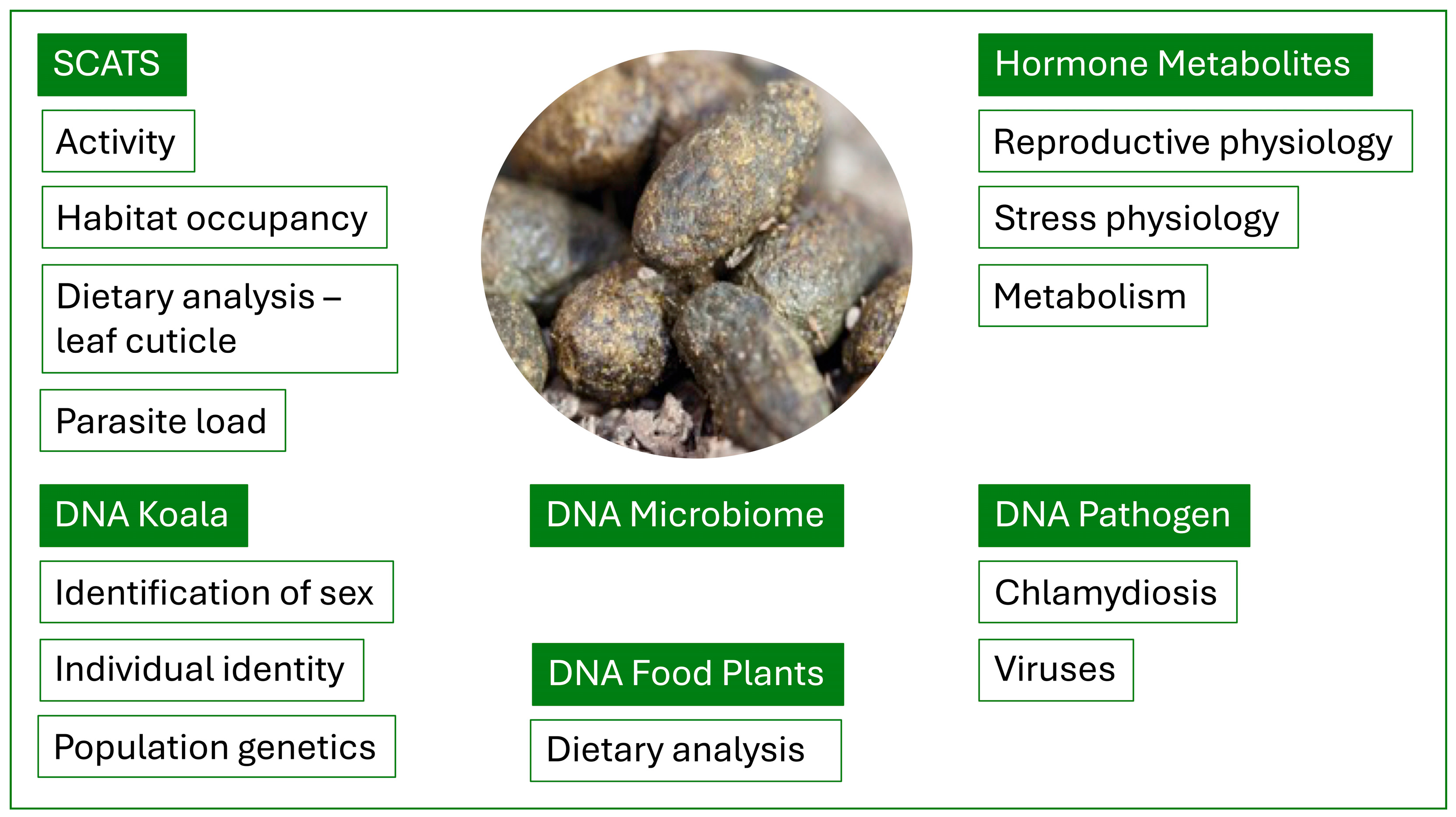 Biology | Free Full-Text | The Utility of the Koala Scat: A Scoping Review