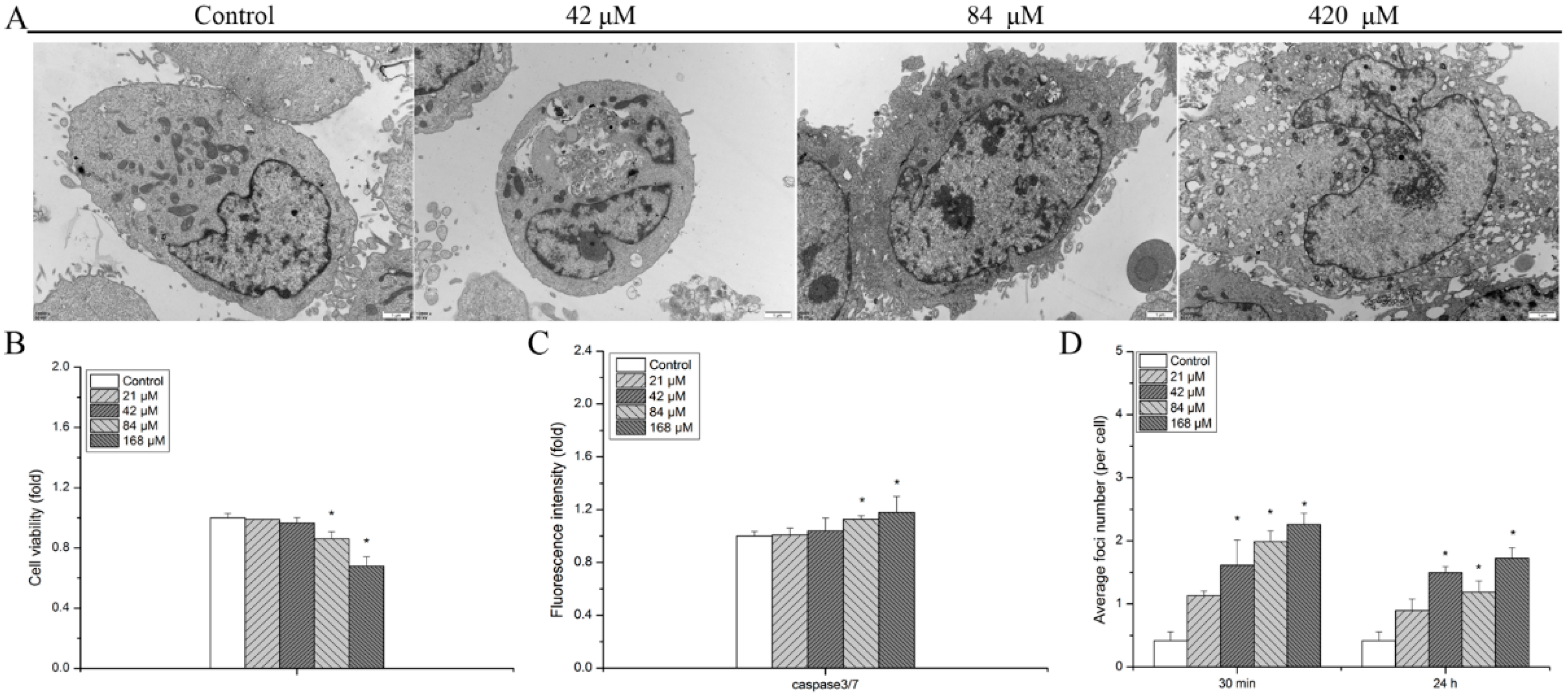 Biology 13 00525 g001