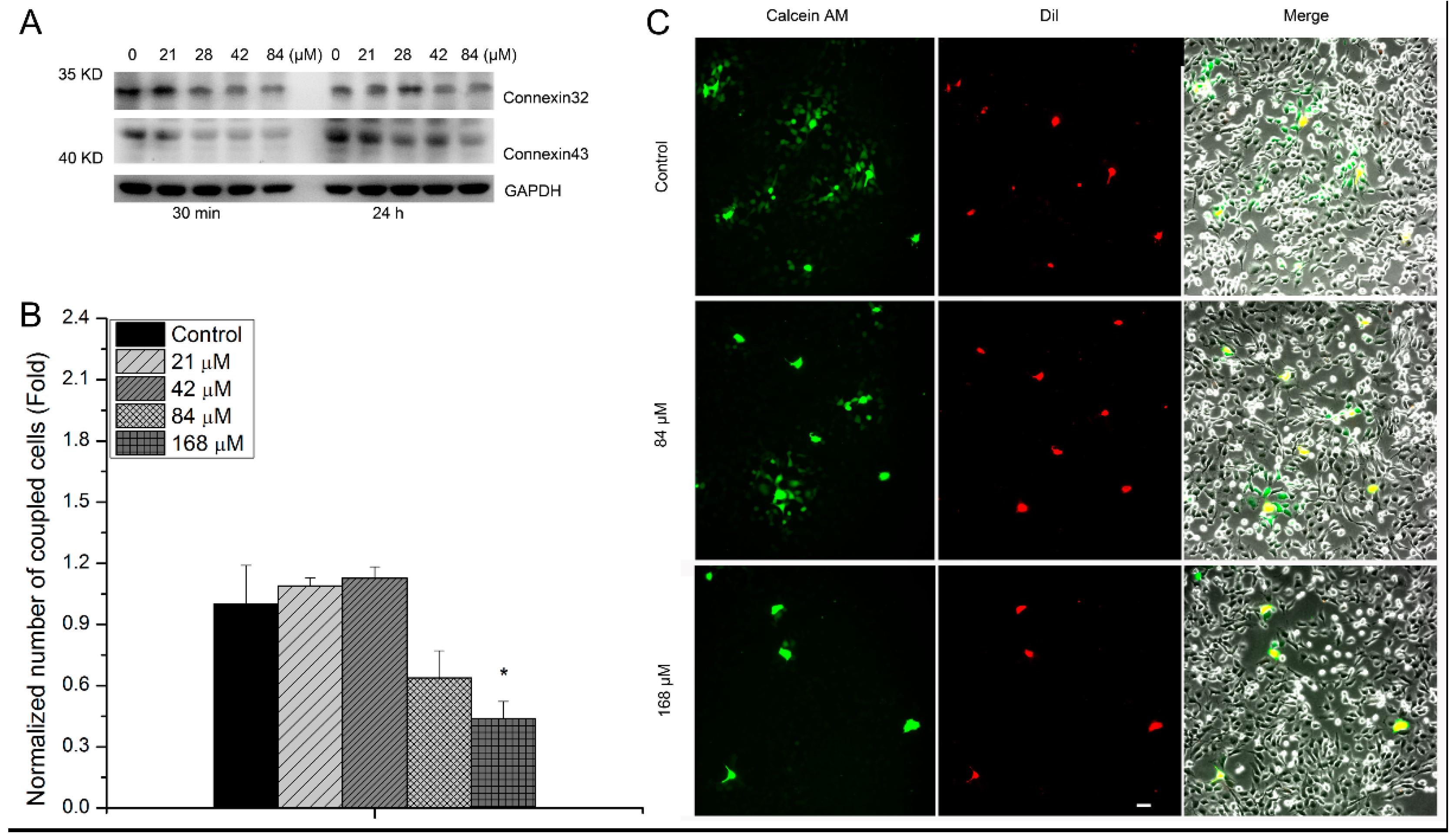 Biology 13 00525 g004