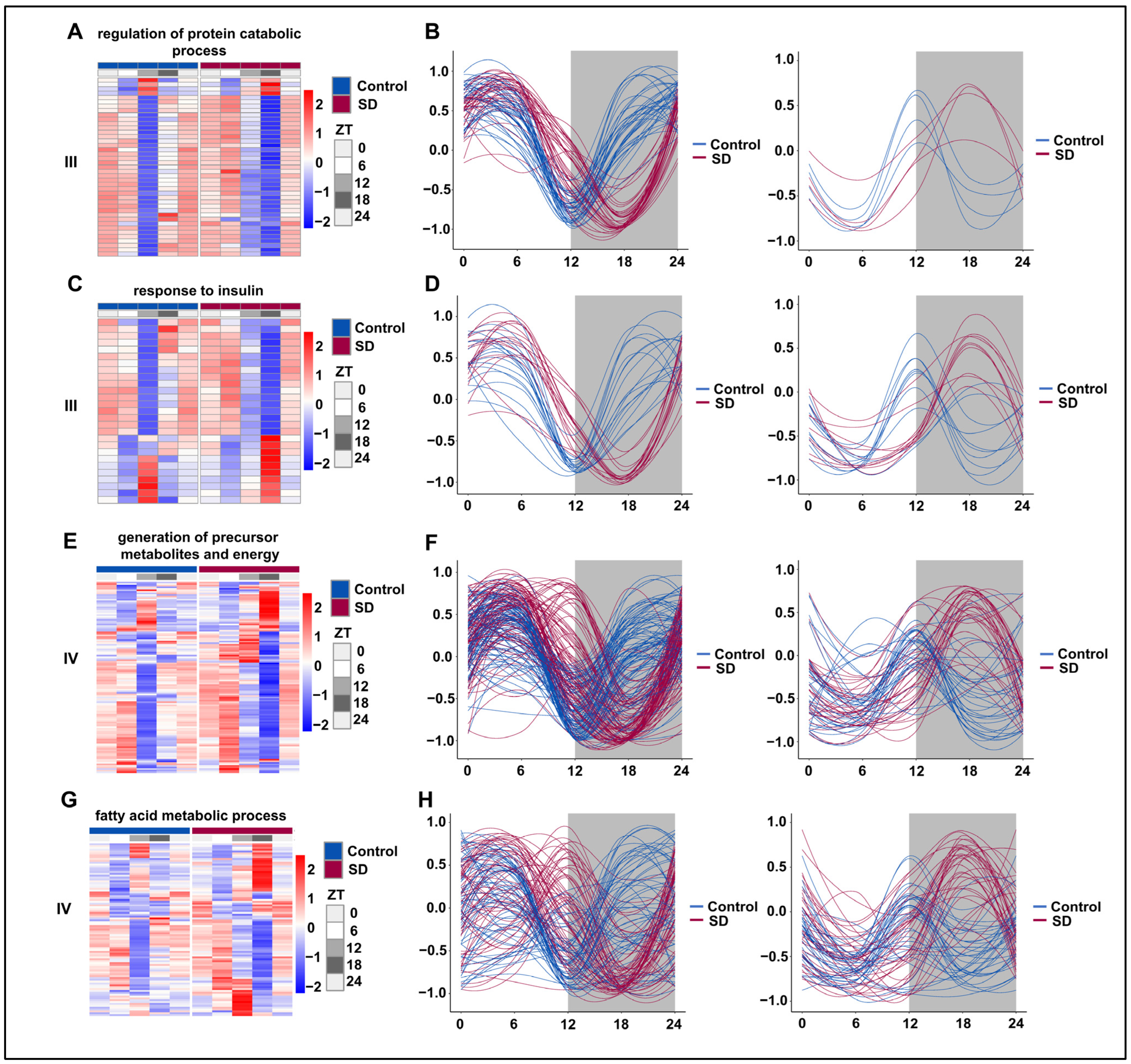 Biology 13 00532 g006