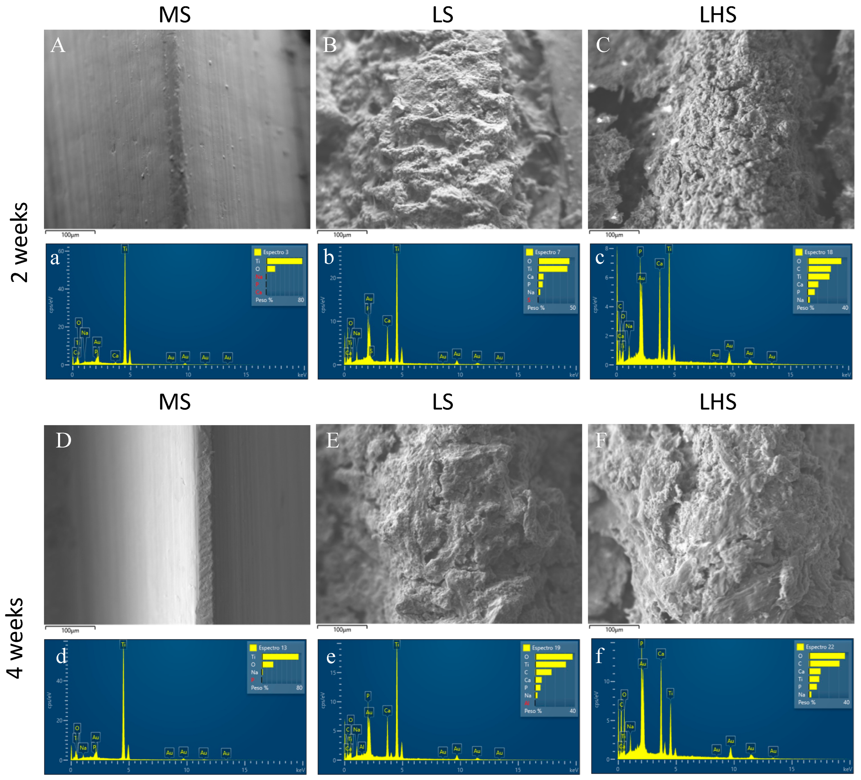 Biology 13 00533 g003