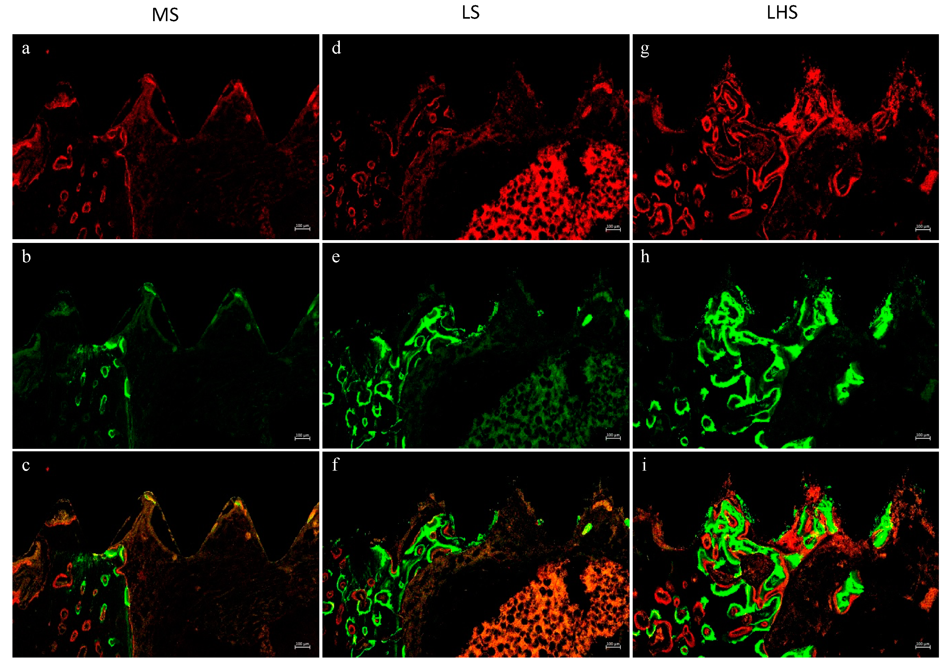 Biology 13 00533 g005