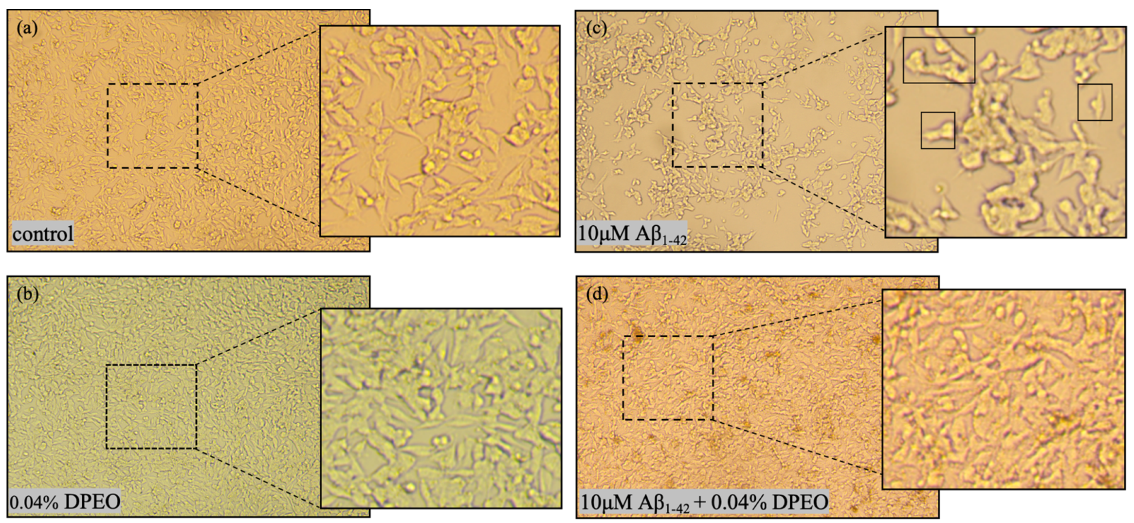 Biology 13 00544 g005