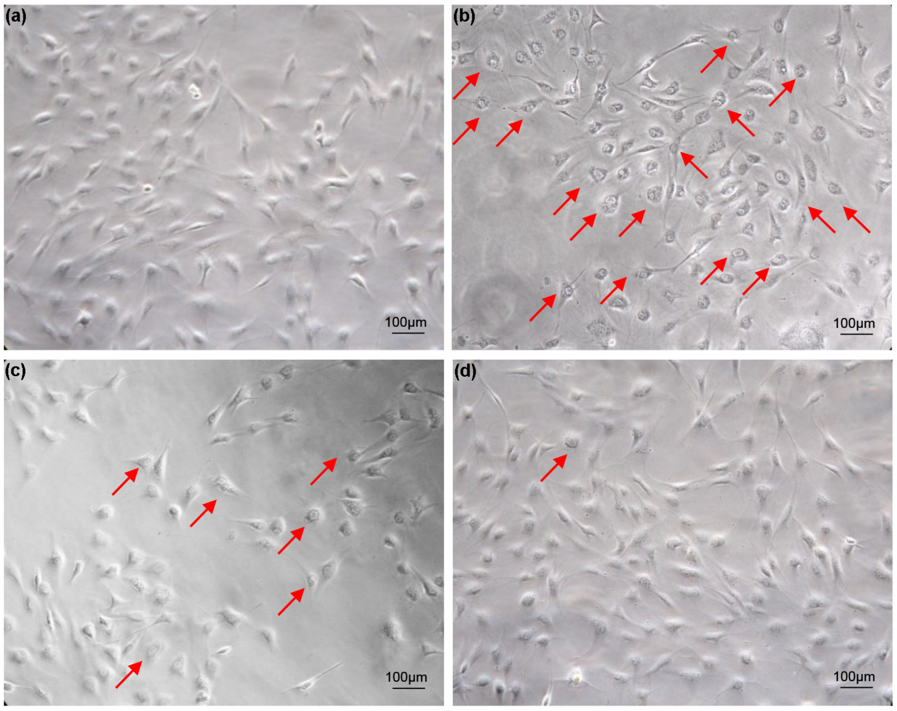Biology 13 00545 g001