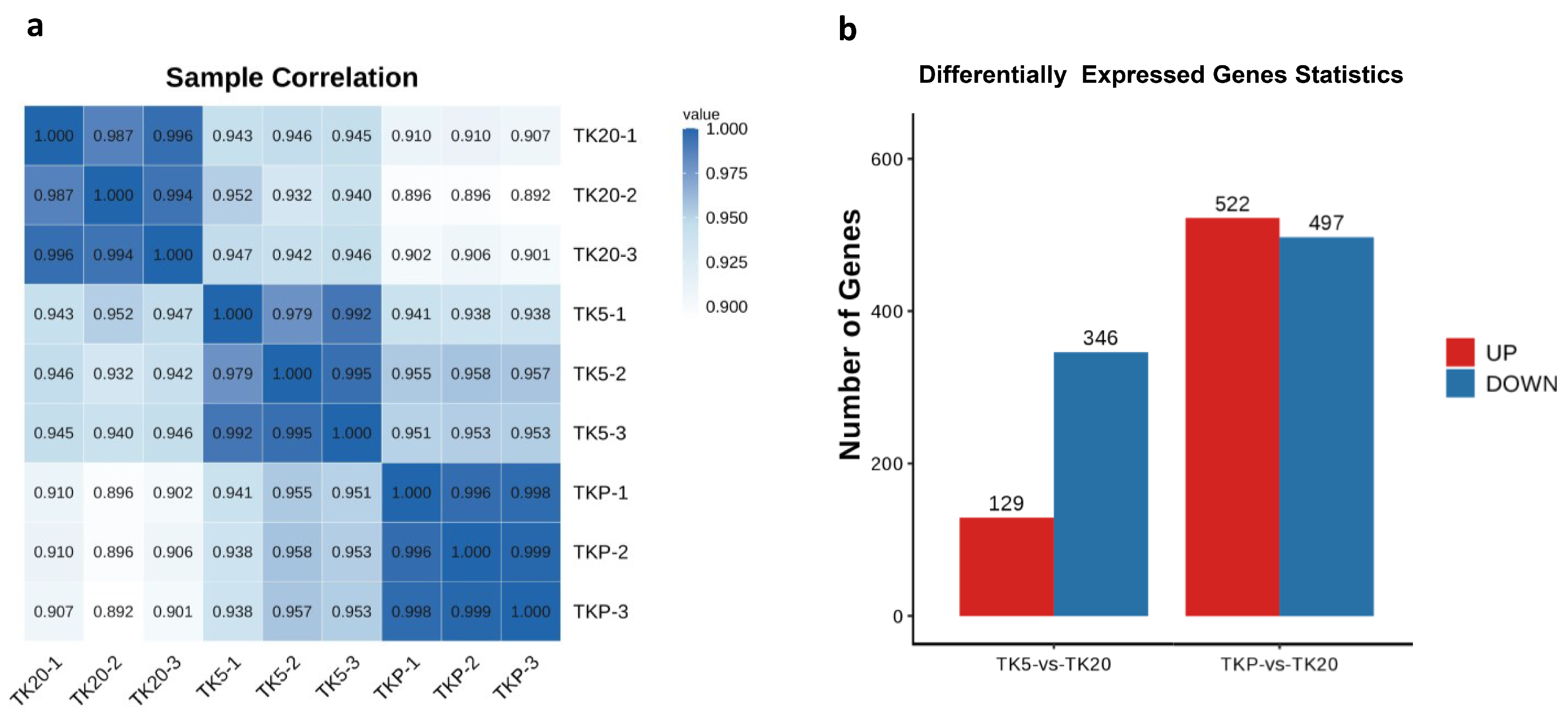 Biology 13 00545 g002