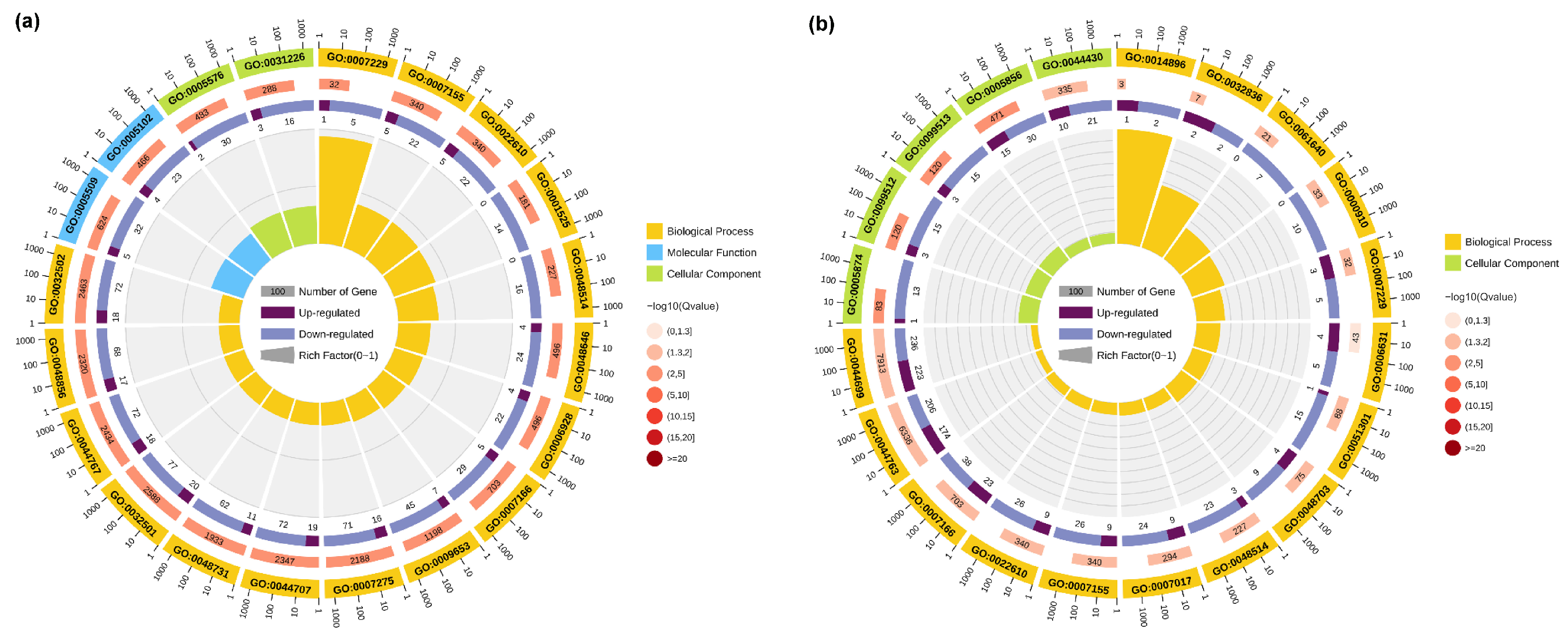 Biology 13 00545 g003