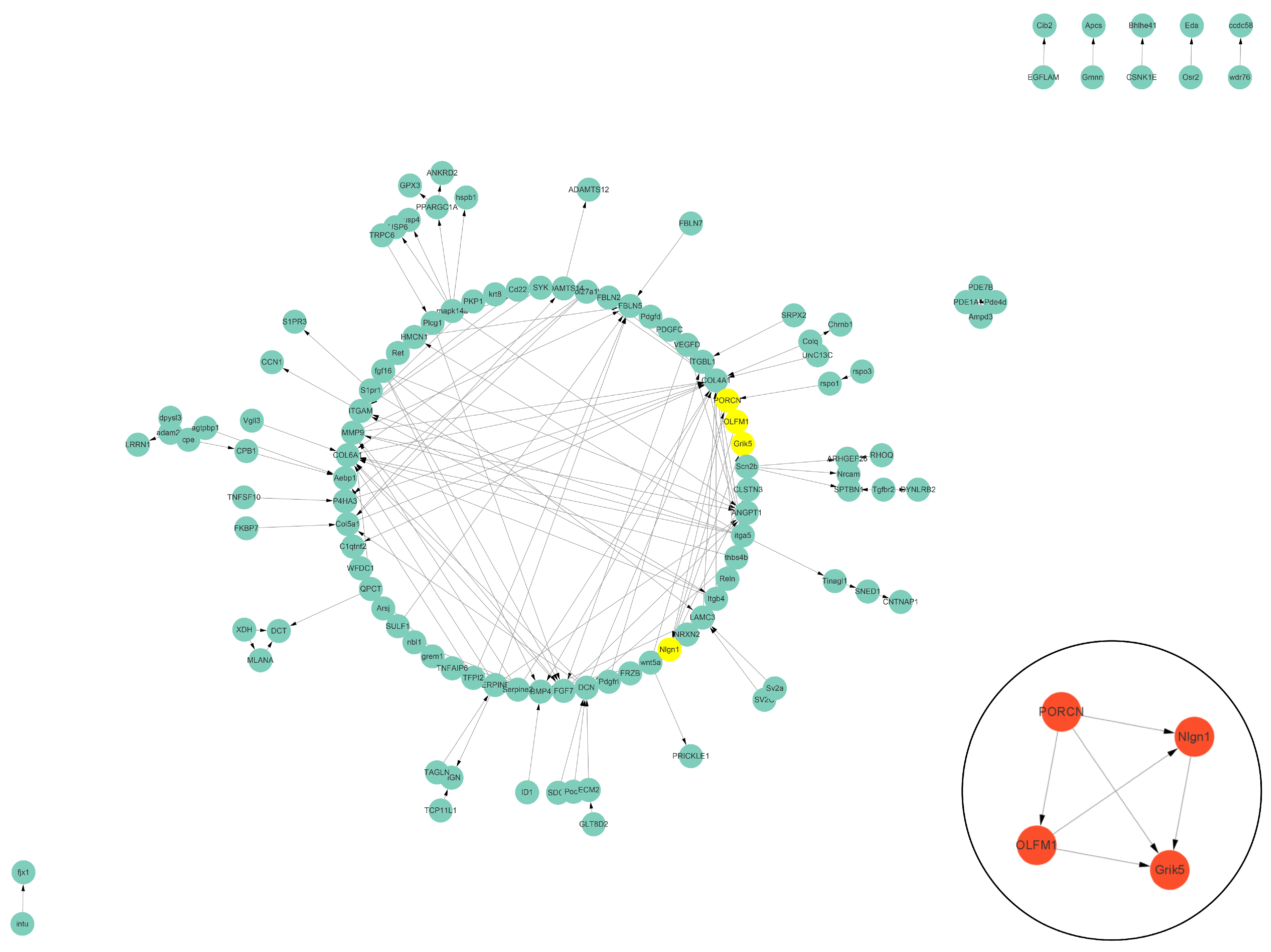 Biology 13 00545 g005