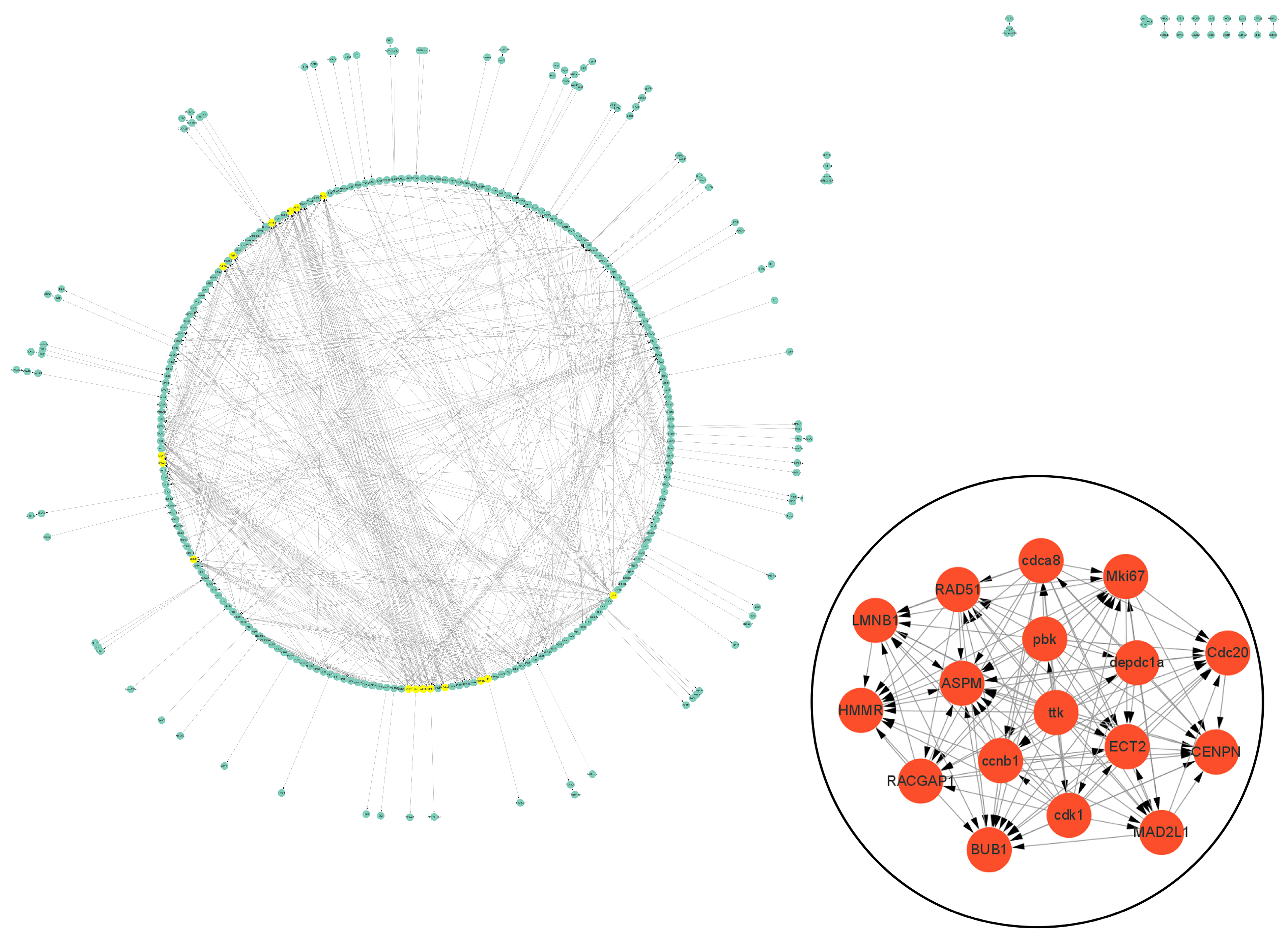 Biology 13 00545 g006
