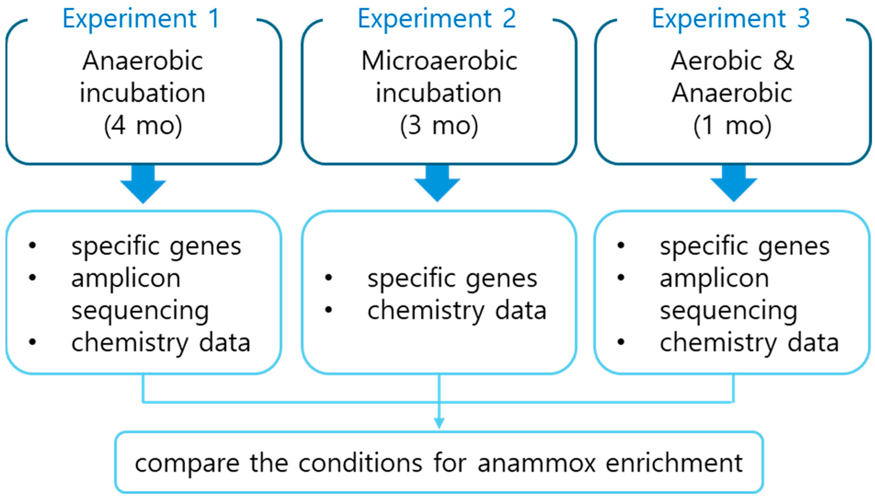 Biology 13 00548 g001