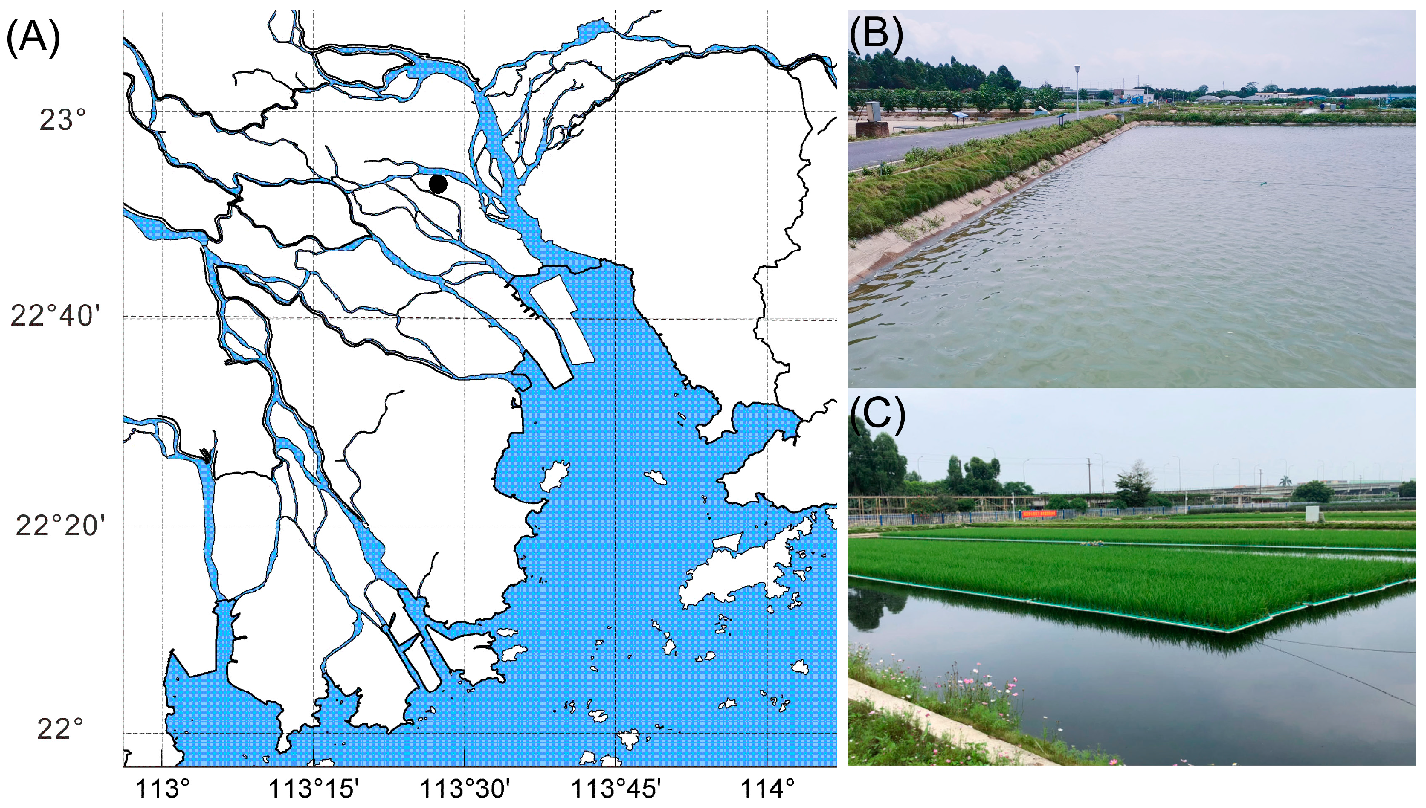 Biology 13 00549 g001