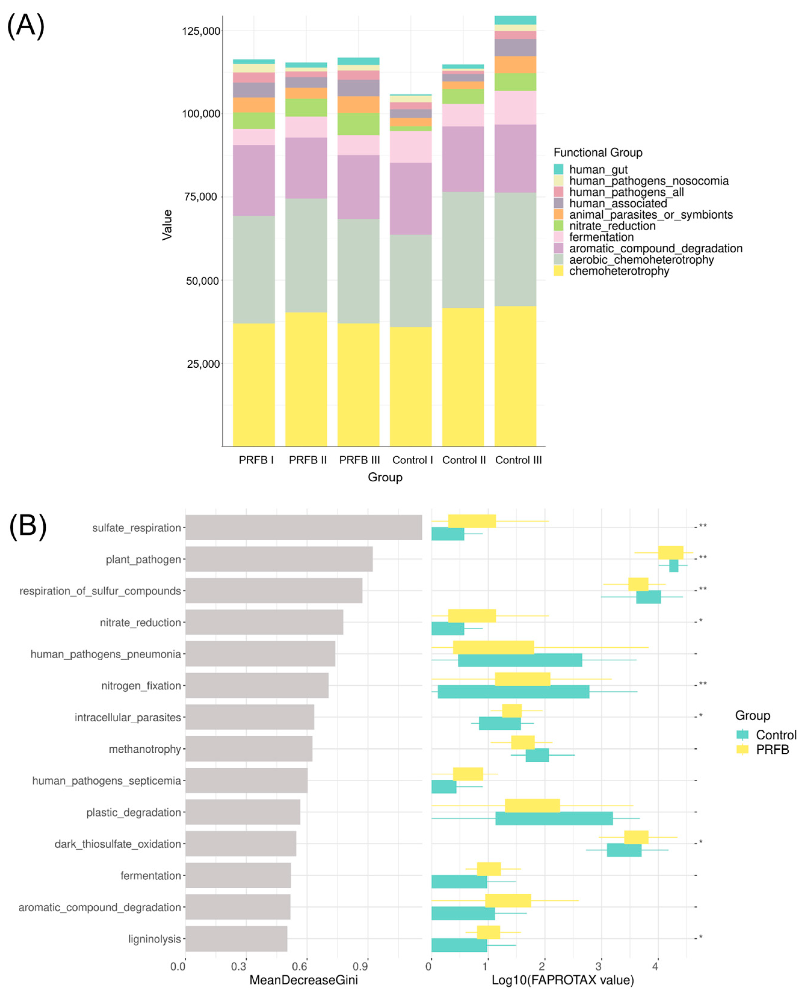 Biology 13 00549 g011