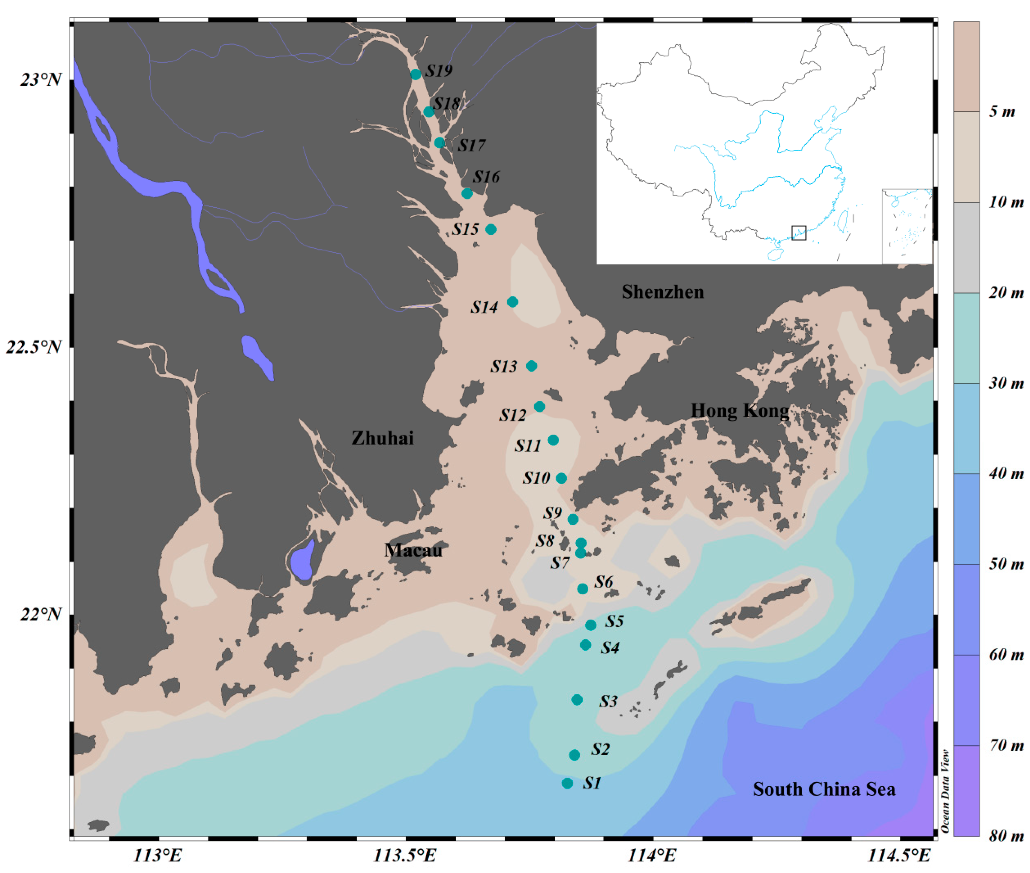 Biology 13 00550 g001