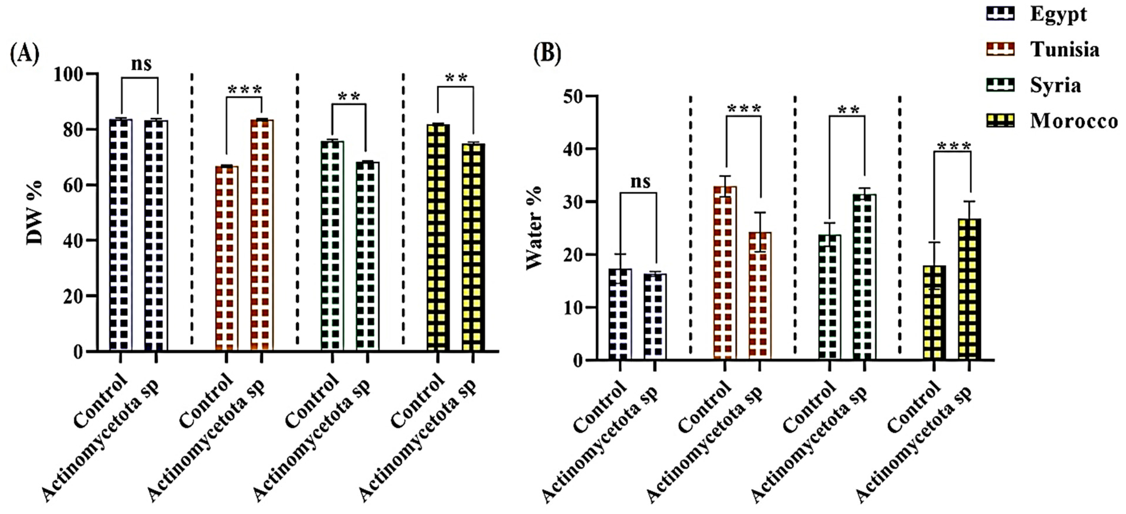 Biology | Free Full-Text | Investigating the Endophyte Actinomycetota ...