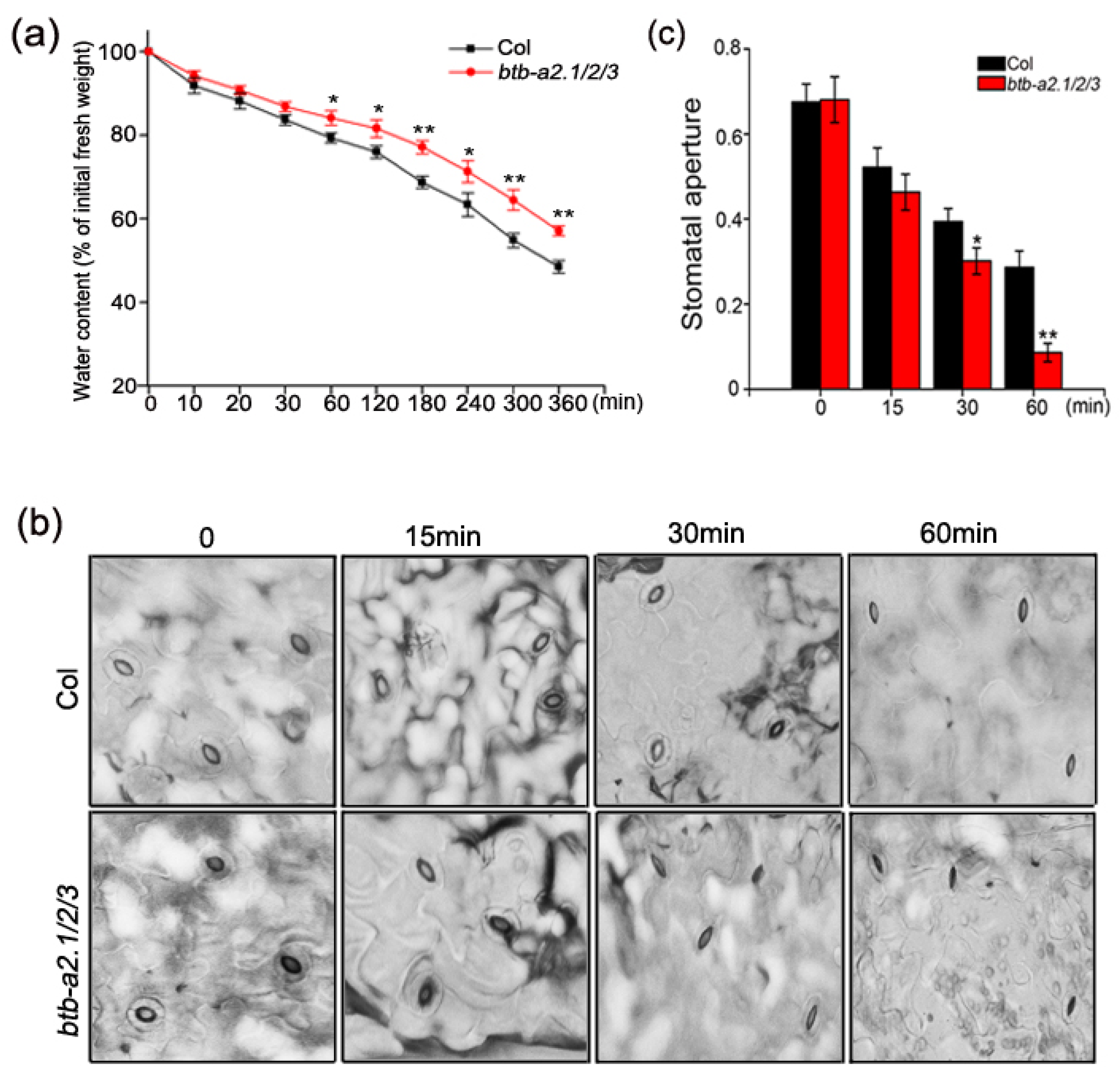Biology 13 00561 g004