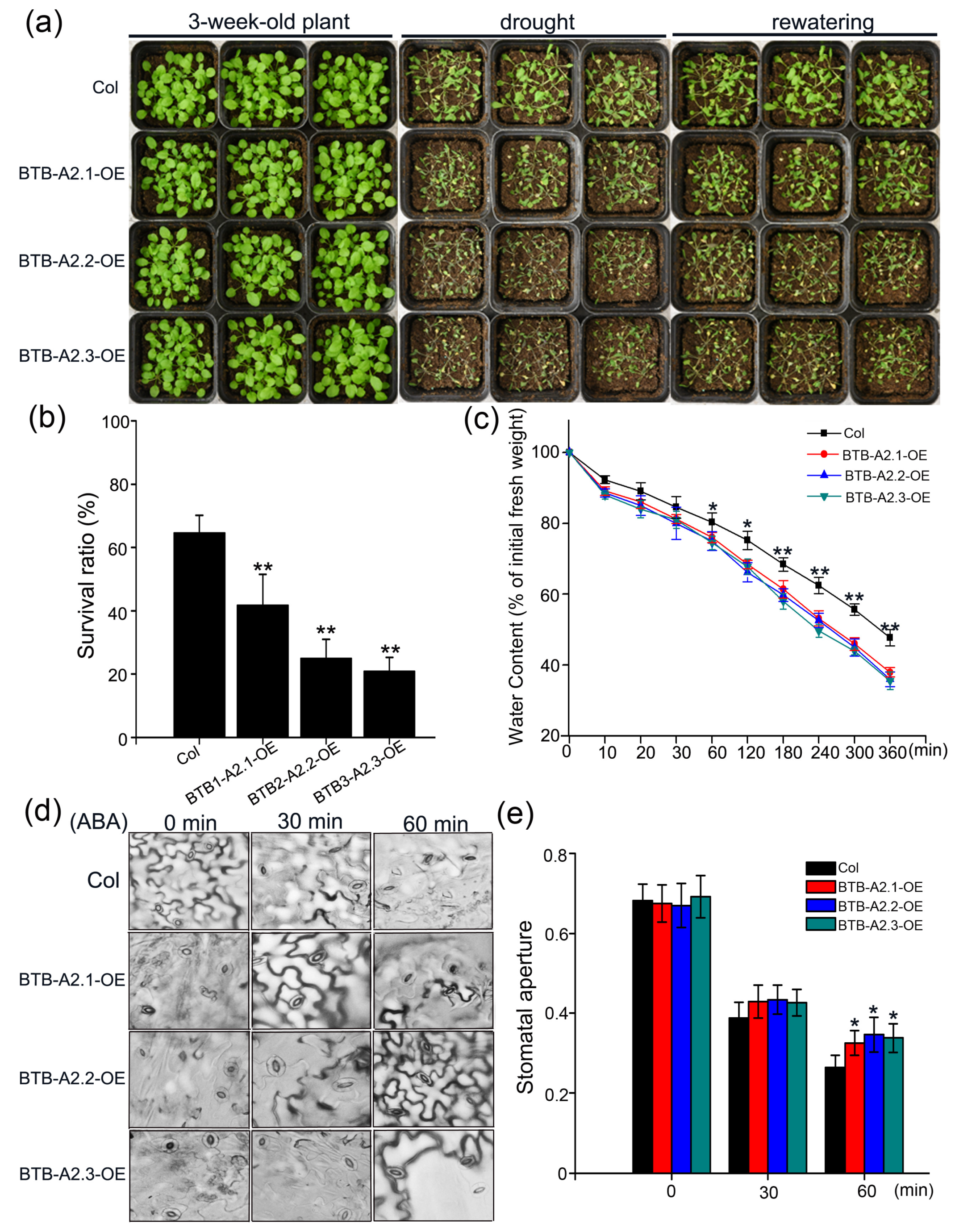 Biology 13 00561 g005