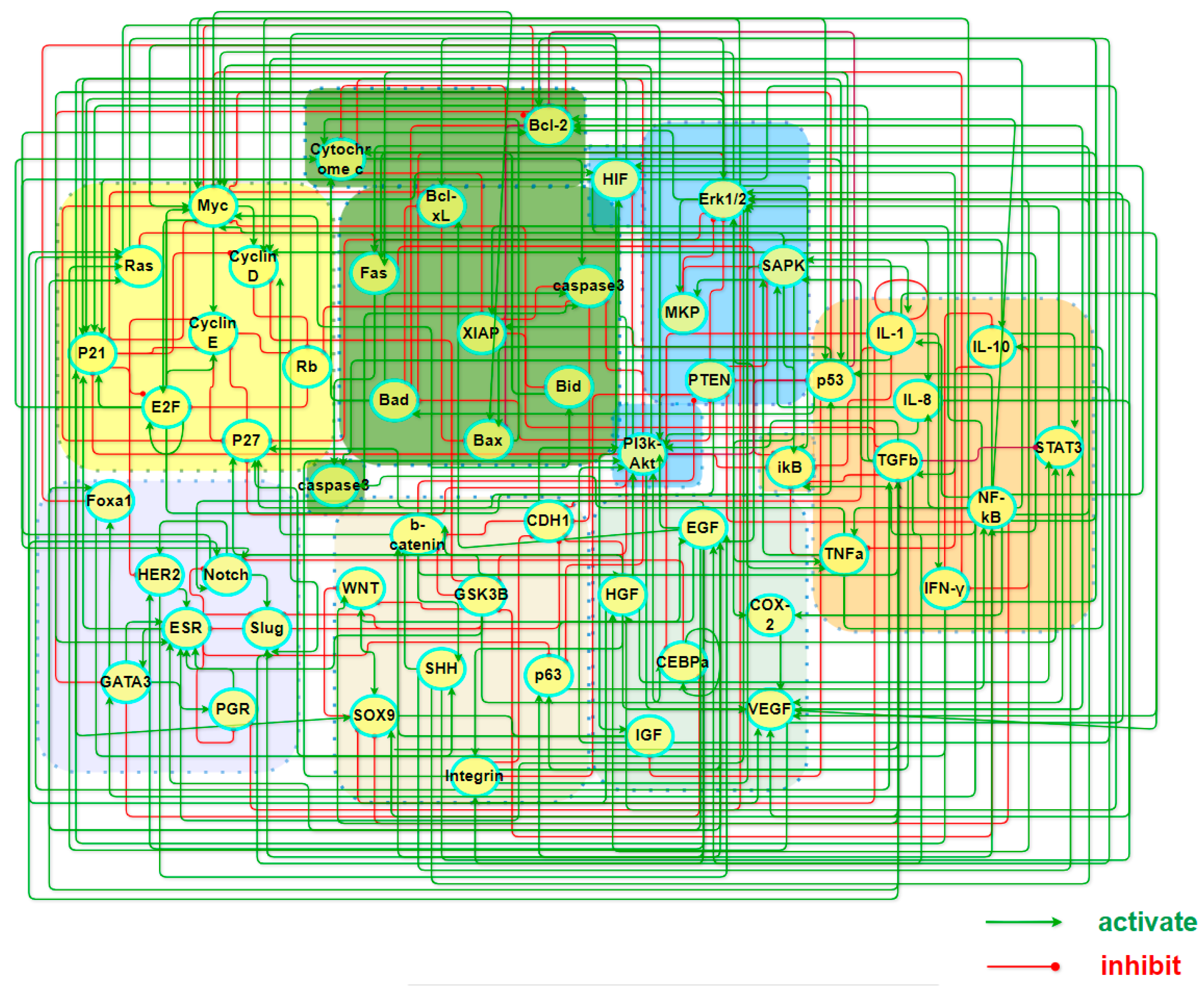 Biology 13 00564 g001