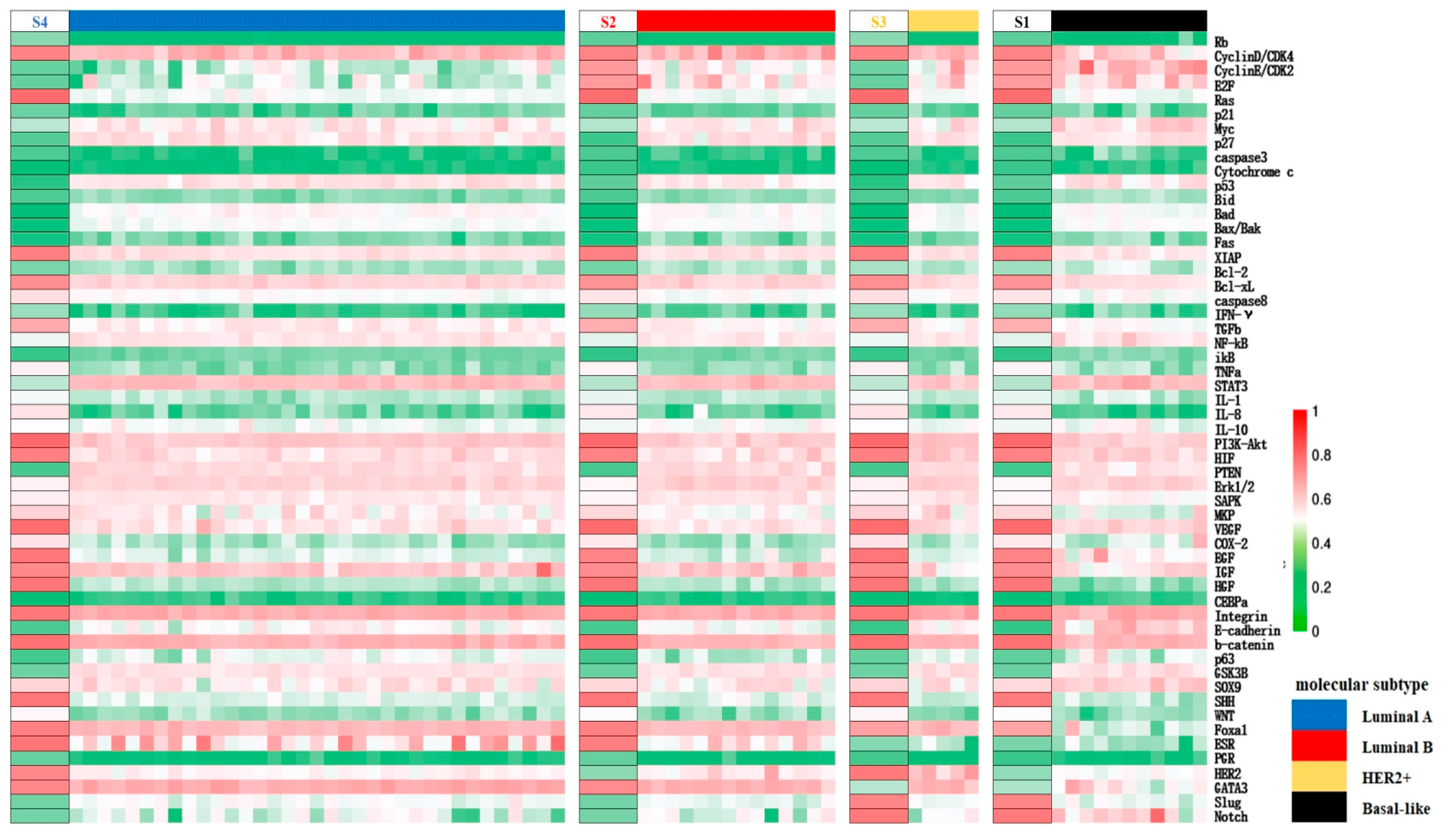 Biology 13 00564 g003