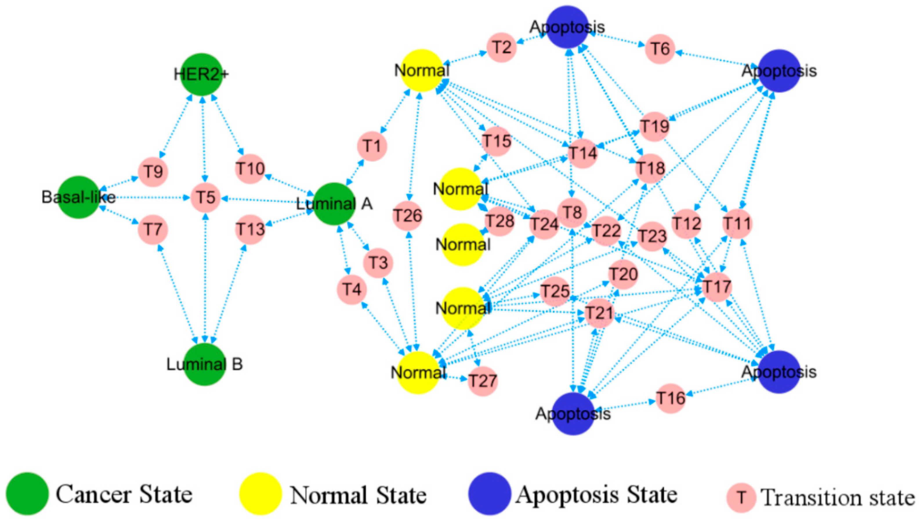 Biology 13 00564 g005