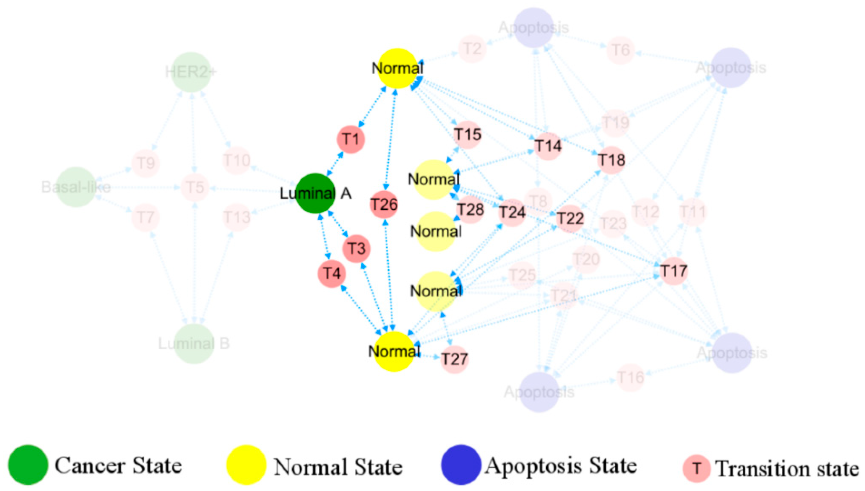 Biology 13 00564 g006