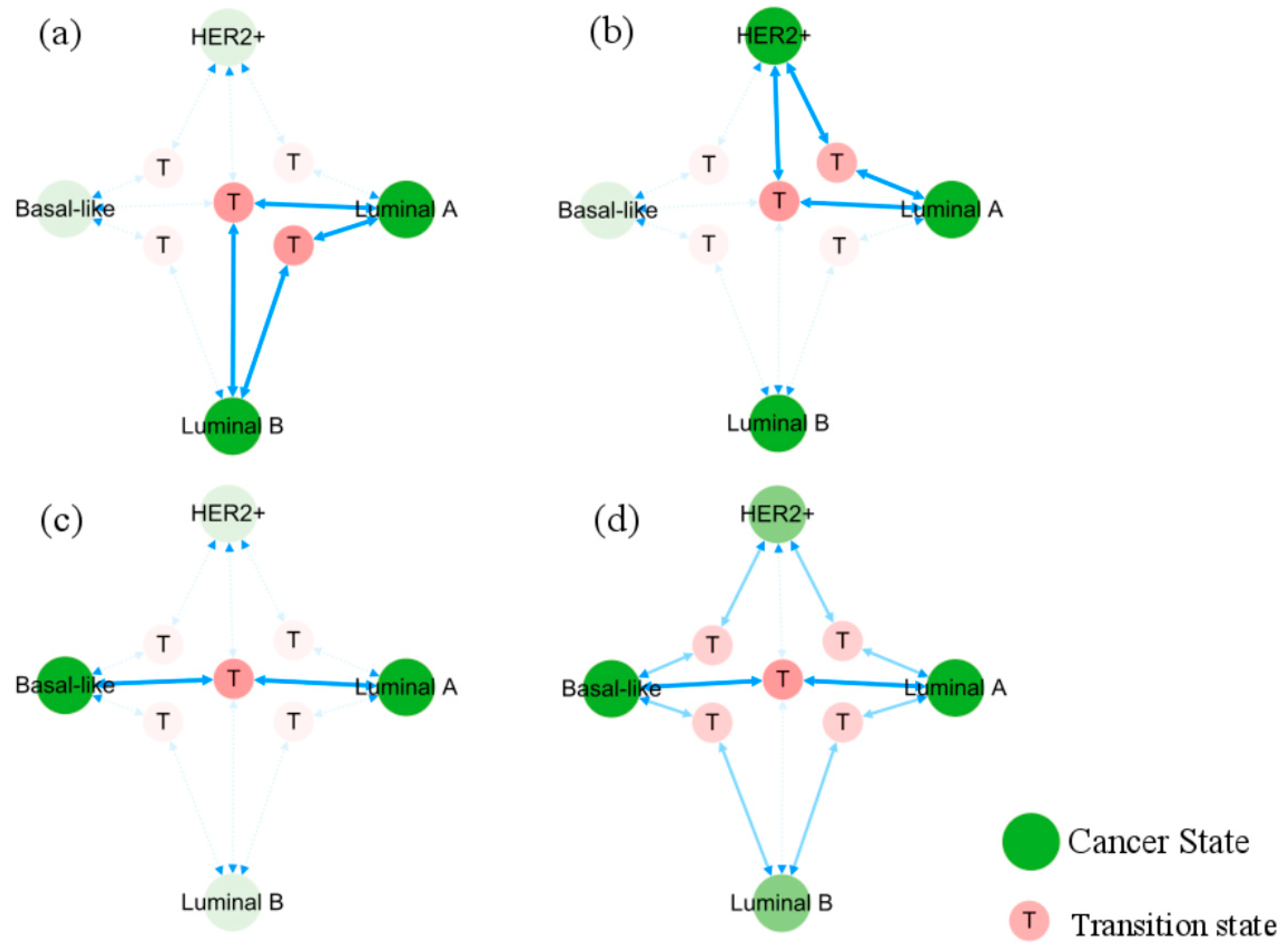 Biology 13 00564 g007