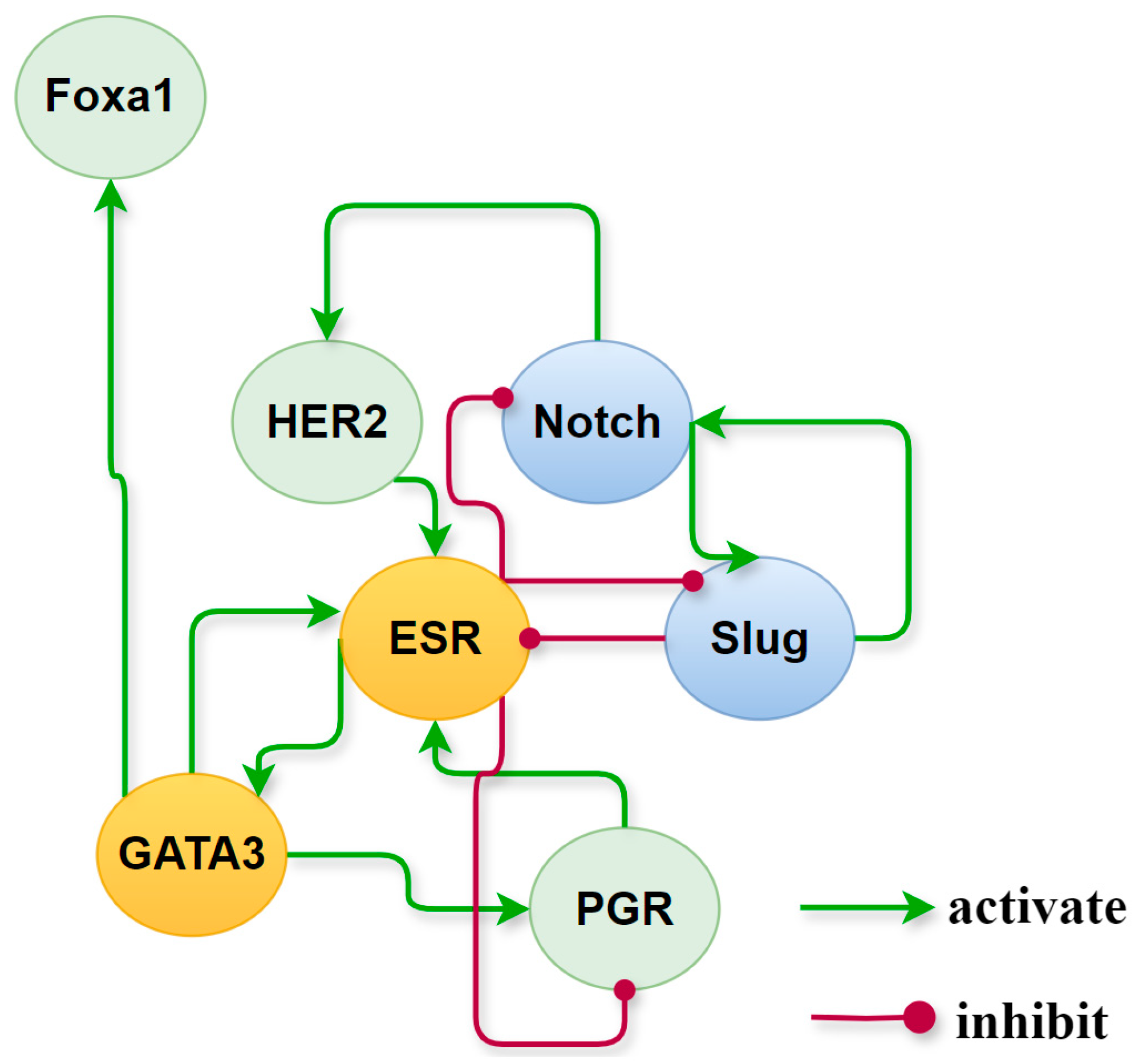 Biology 13 00564 g008