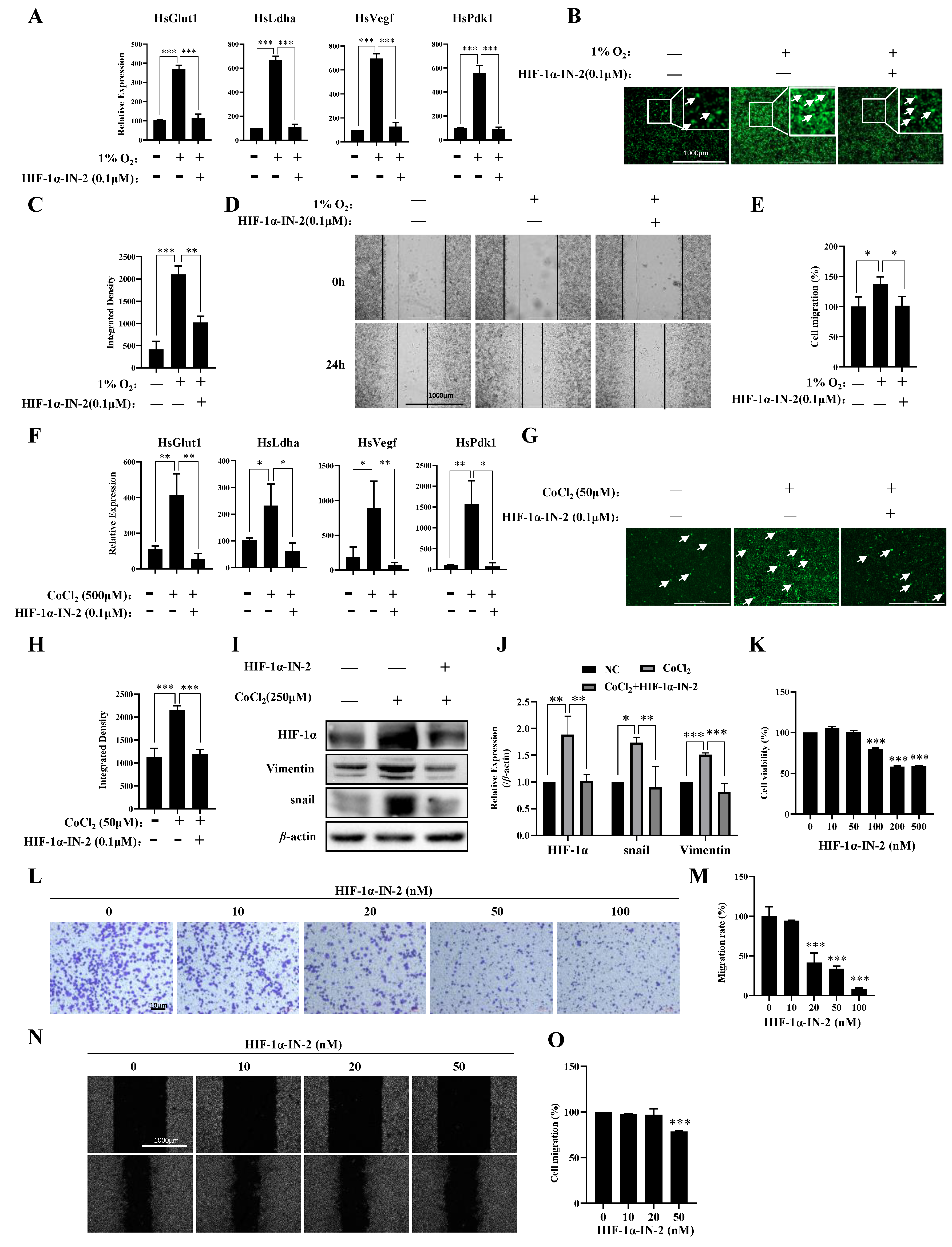 Biology 13 00577 g003