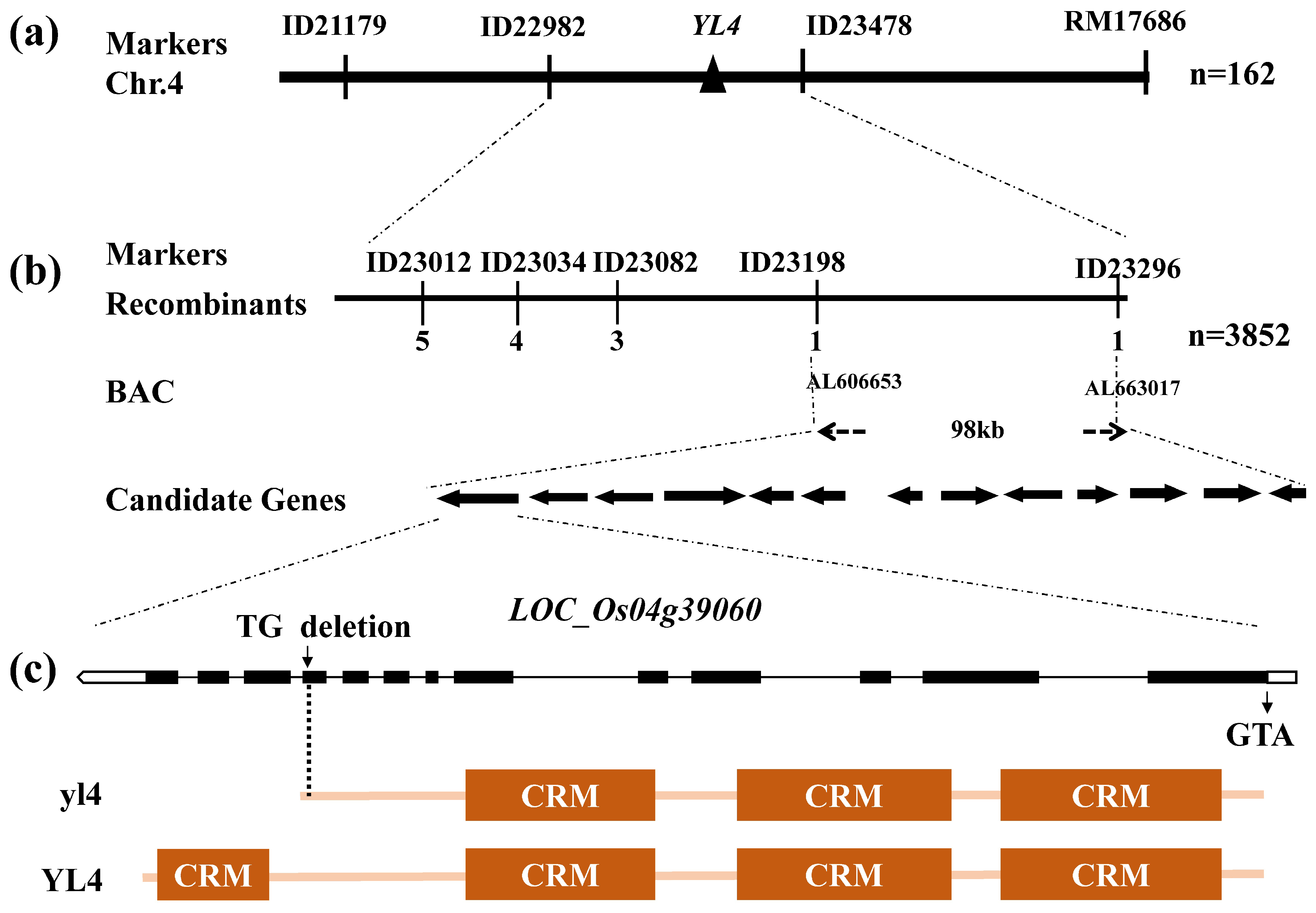 Biology 13 00580 g004