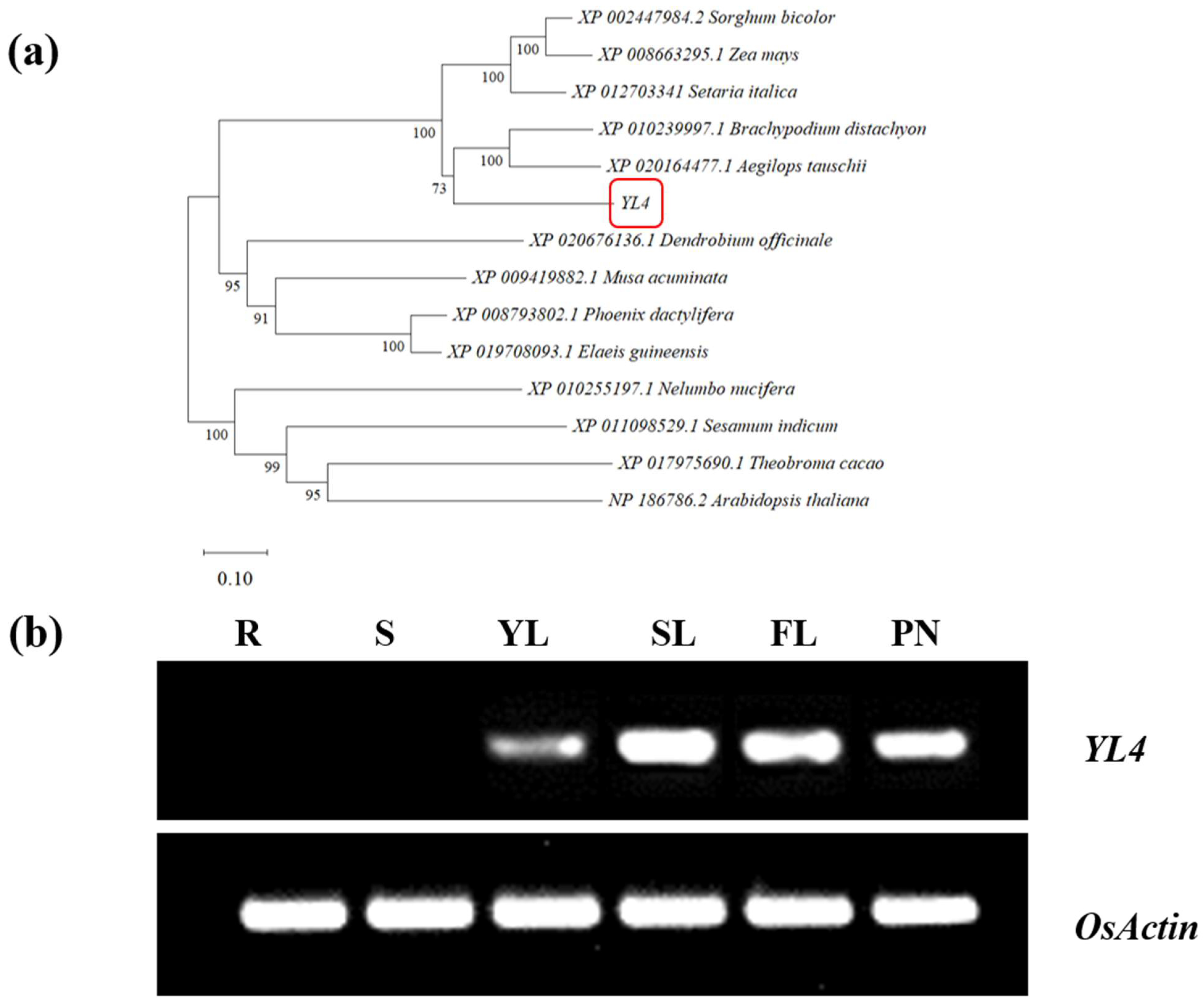 Biology 13 00580 g005