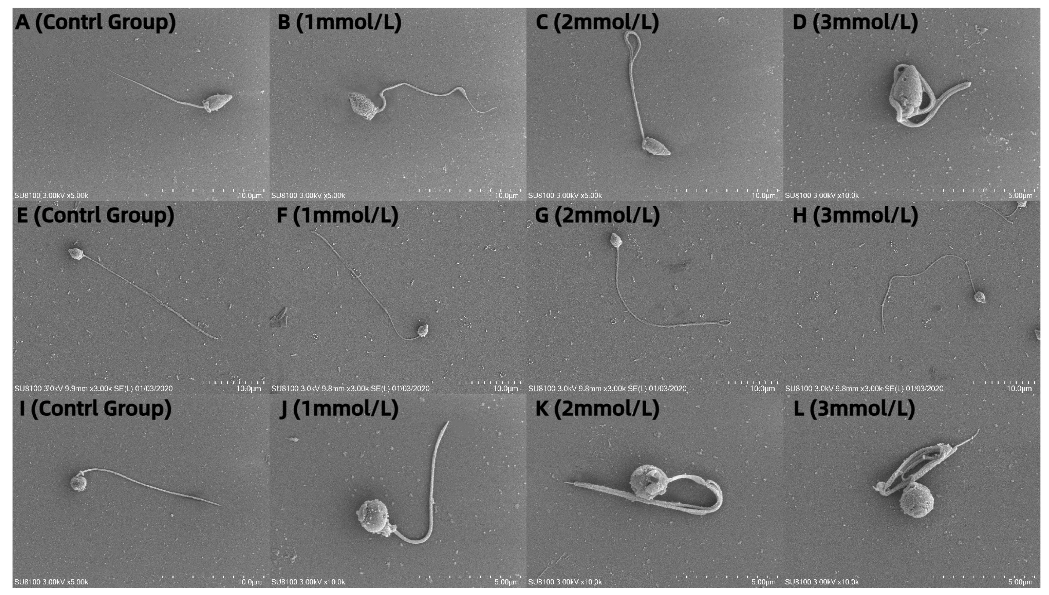 Biology 13 00589 g005