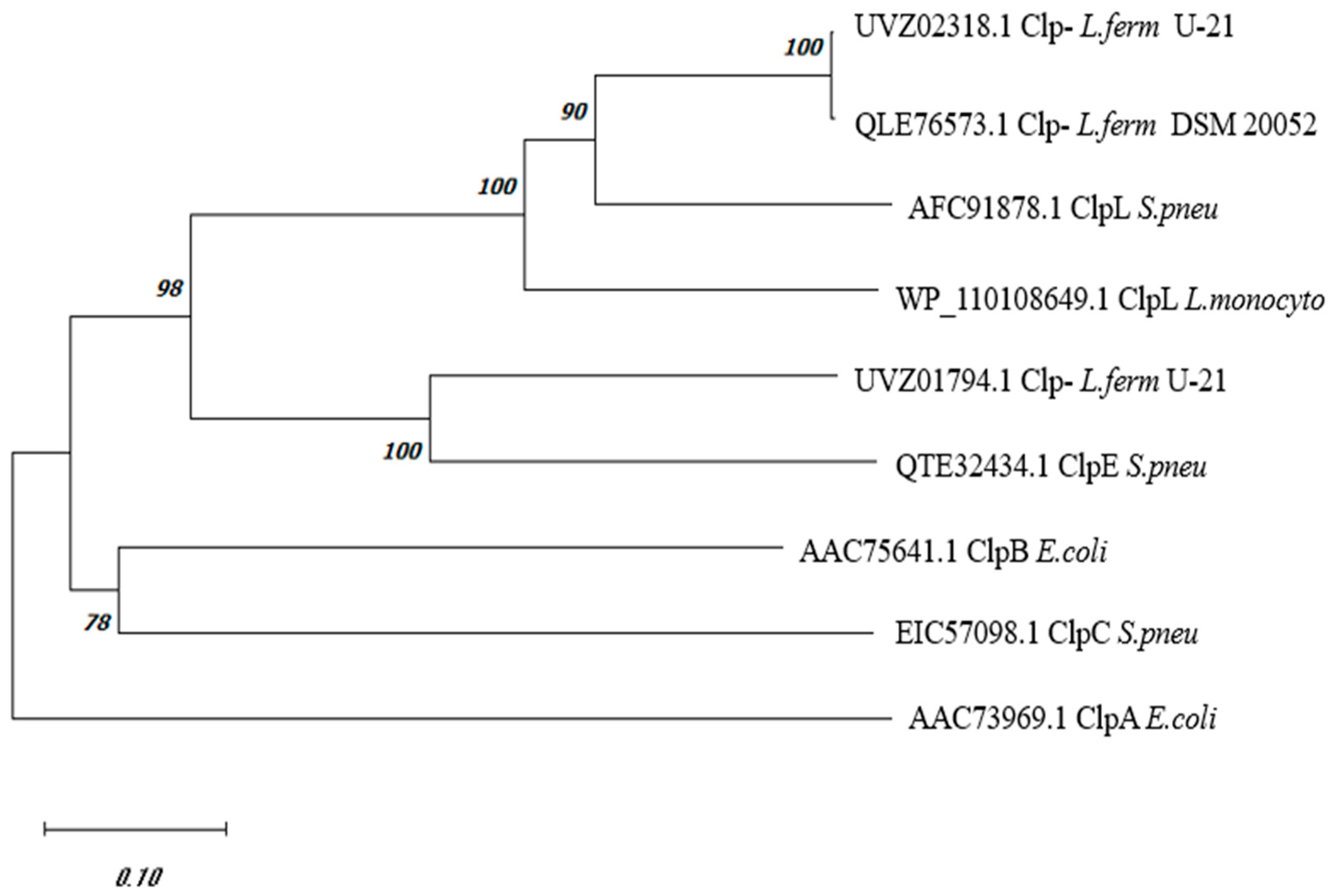 Biology 13 00592 g001
