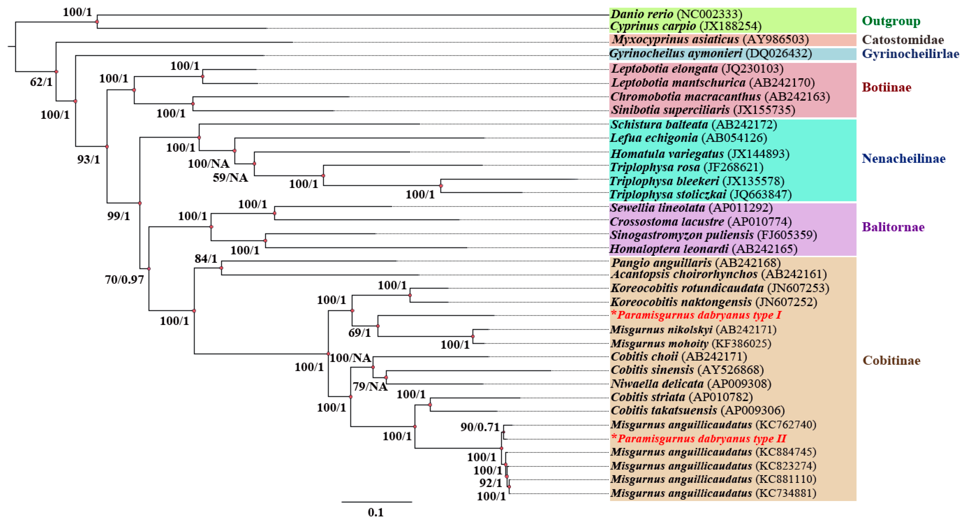 Biology 13 00604 g003