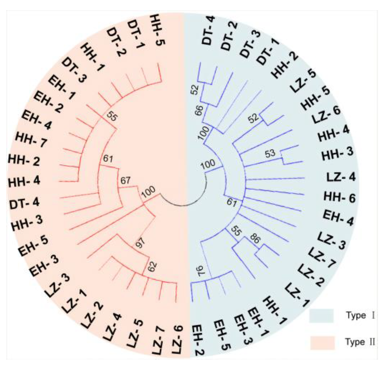 Biology 13 00604 g005