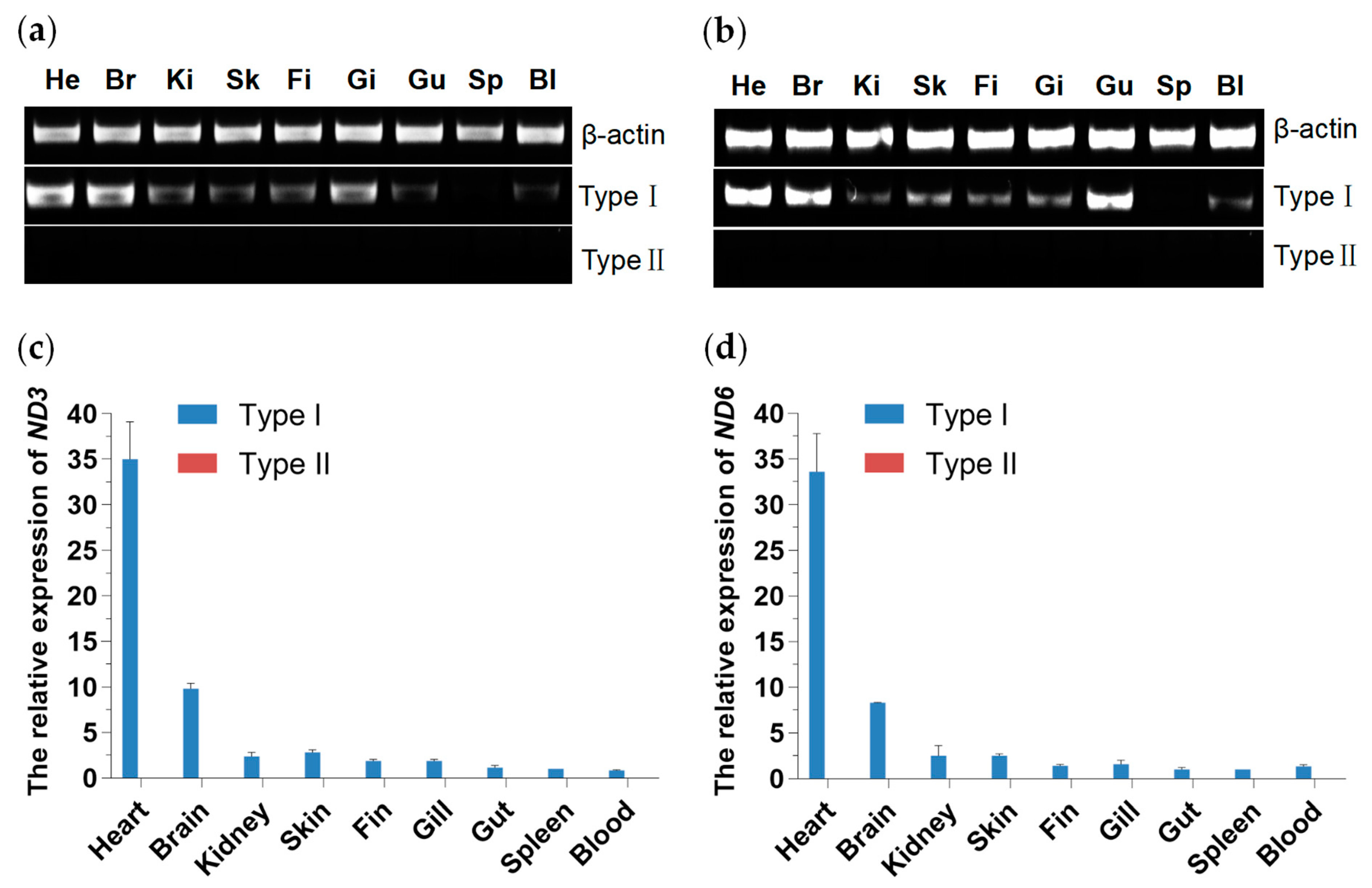 Biology 13 00604 g007