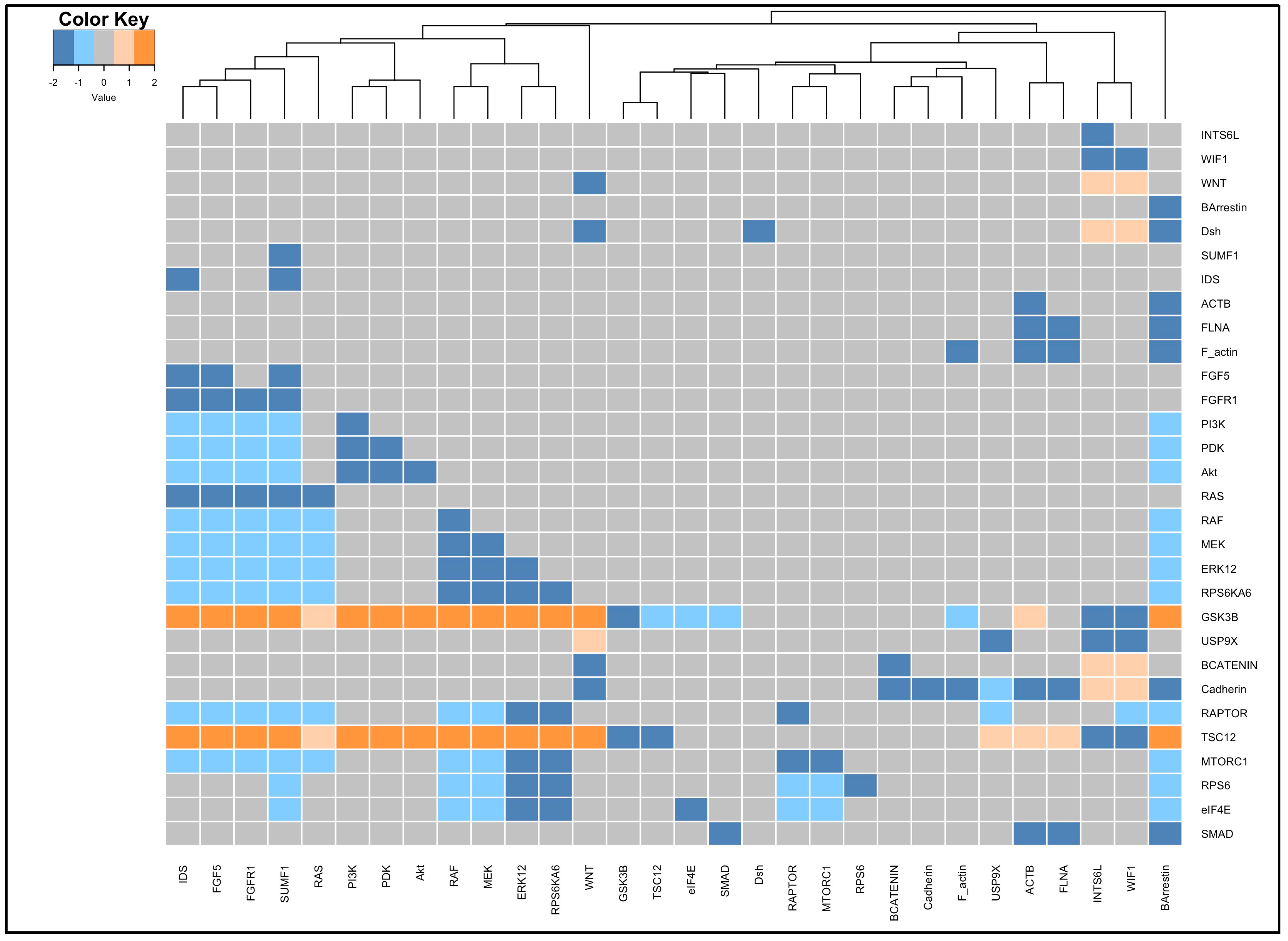 Biology 13 00606 g005