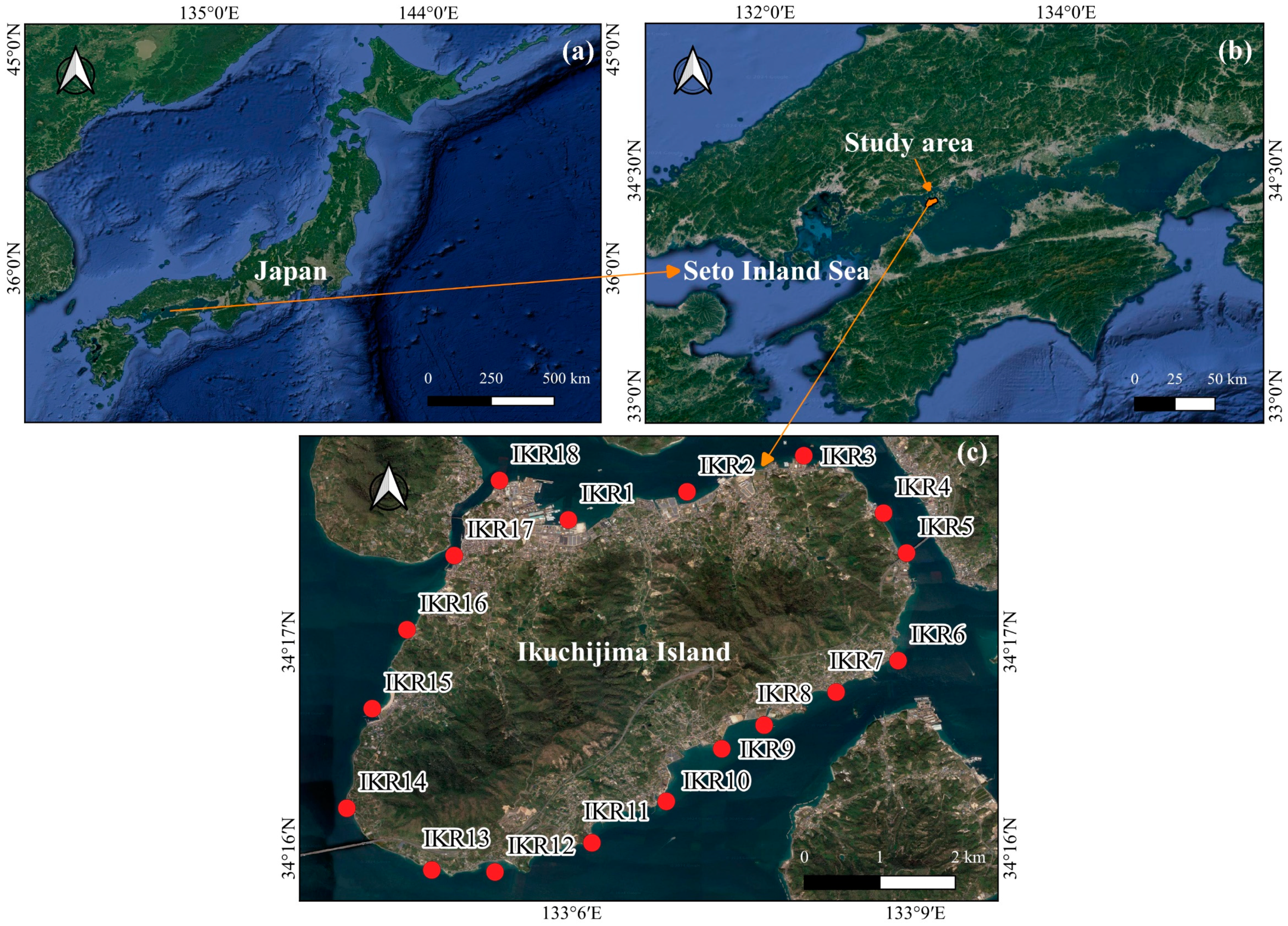 Biology 13 00609 g001