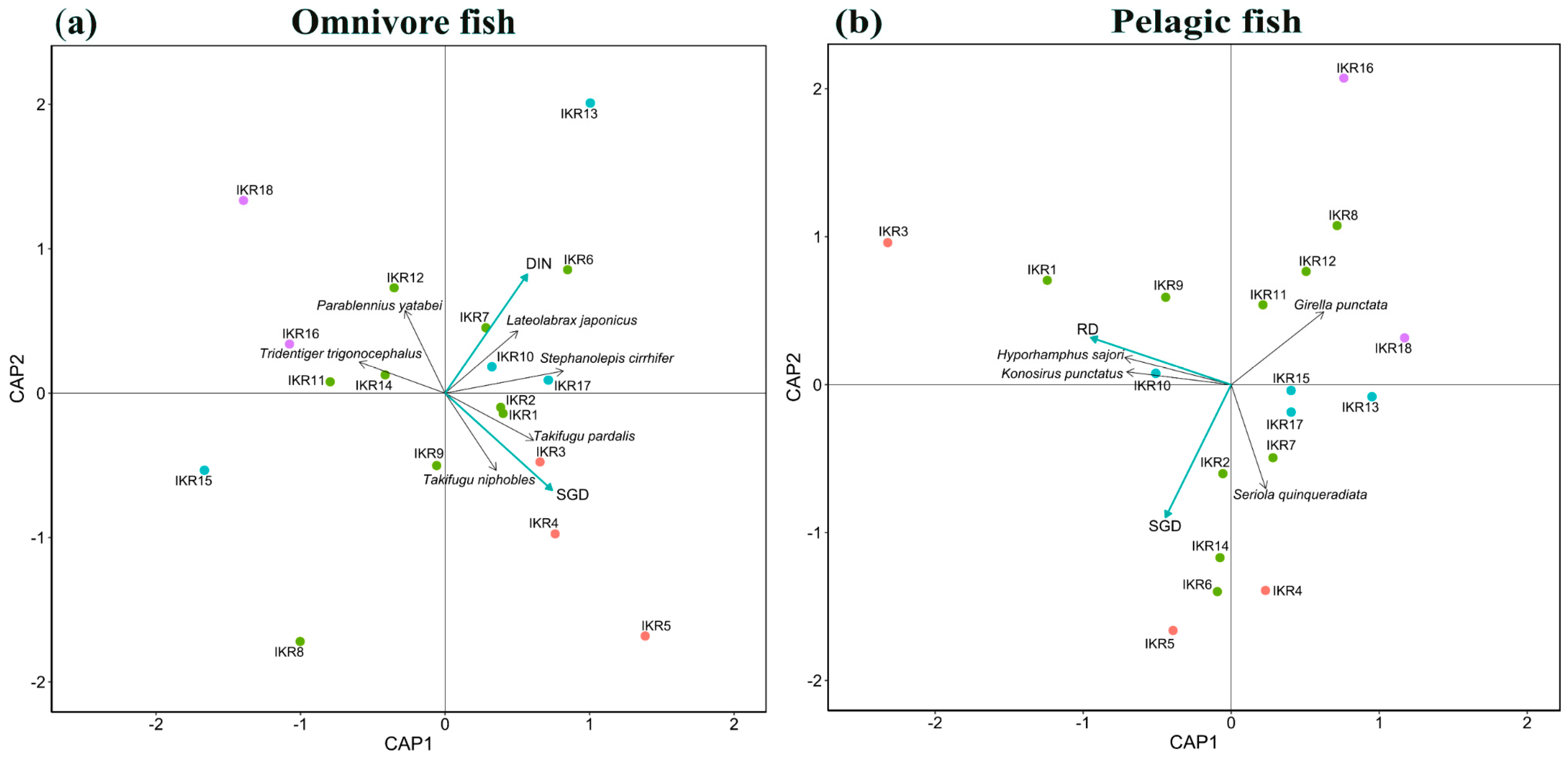Biology 13 00609 g005