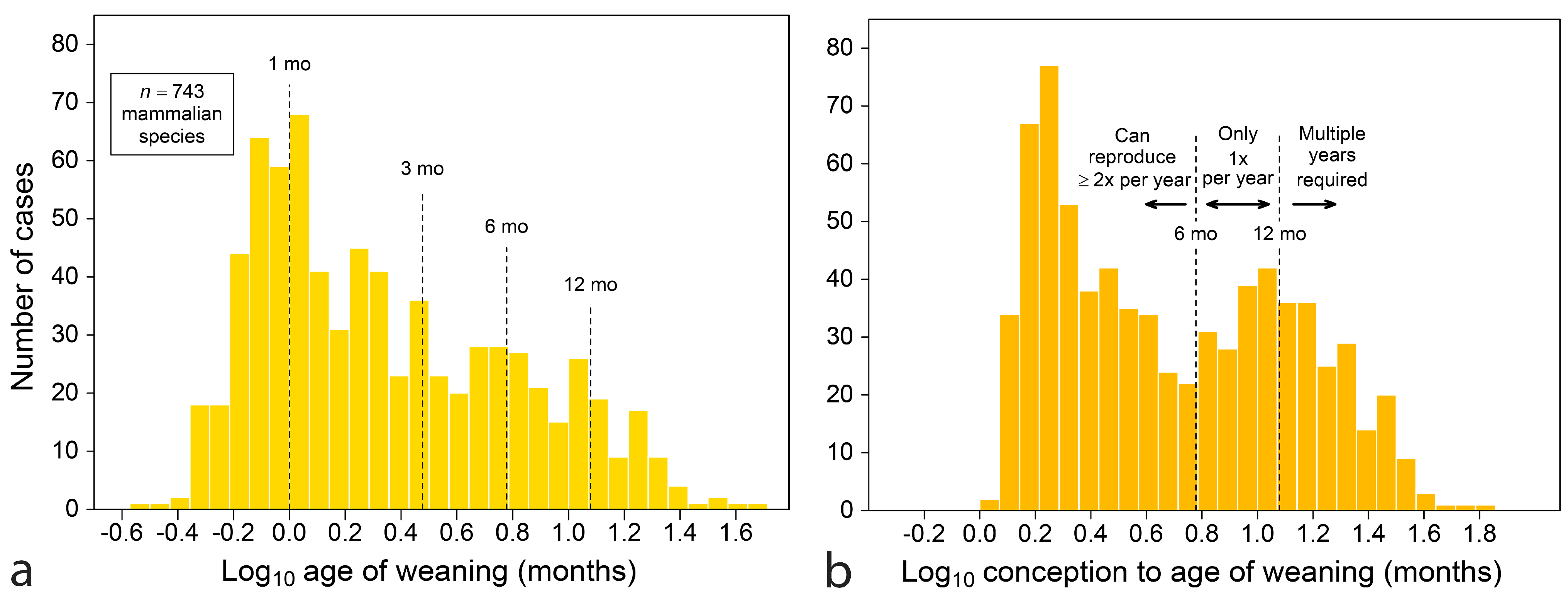 Biology 13 00612 g001 Biology 13 00612 g001