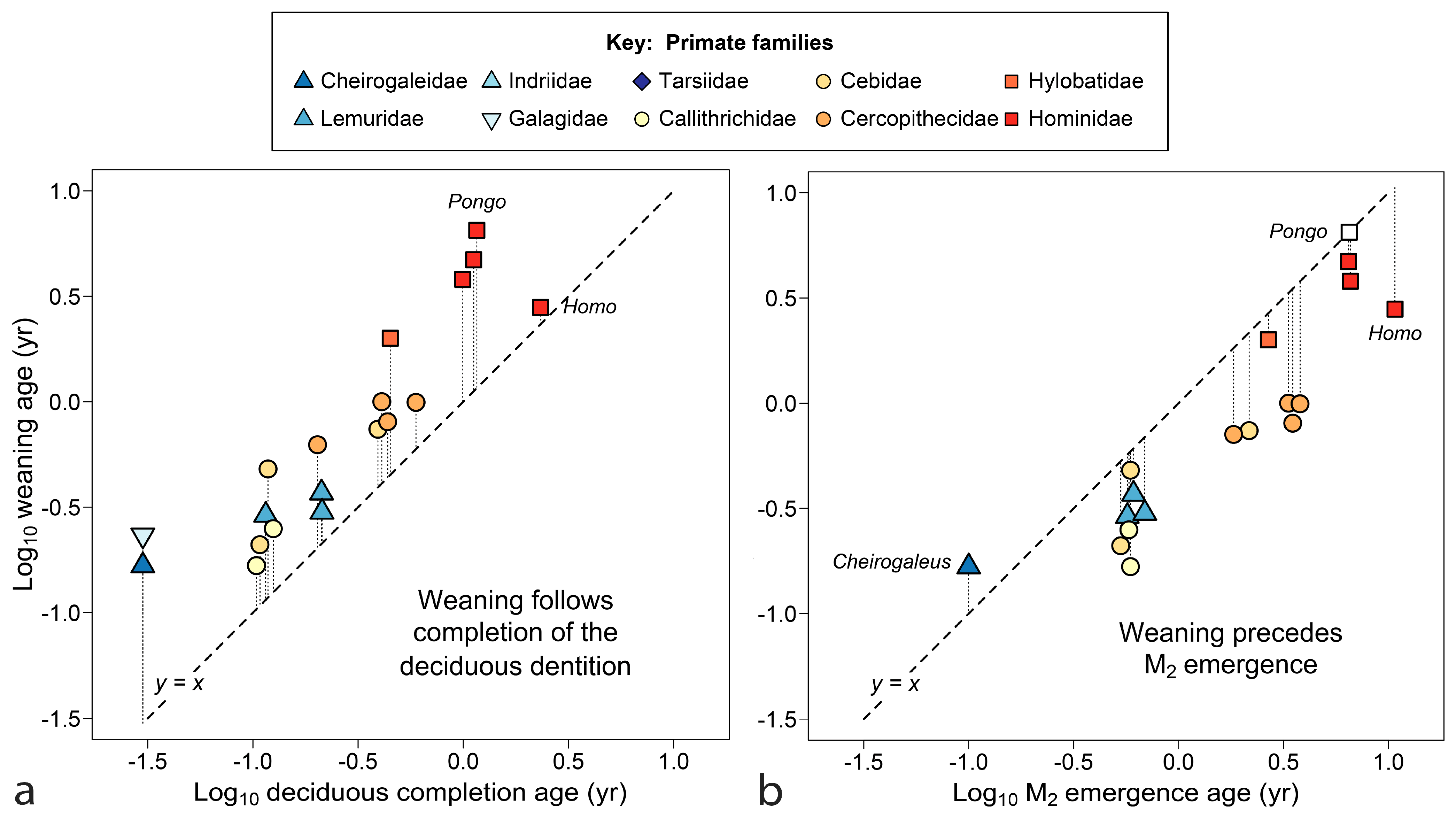 Biology 13 00612 g002 Biology 13 00612 g002