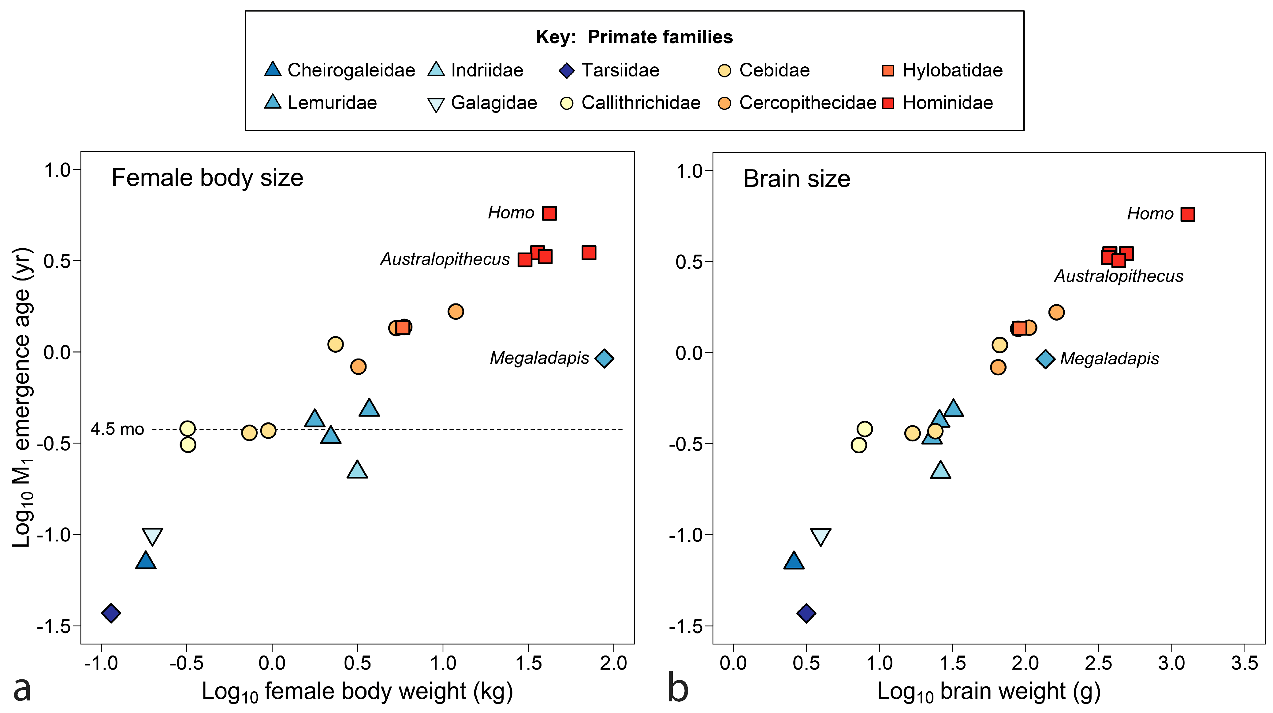 Biology 13 00612 g004 Biology 13 00612 g004