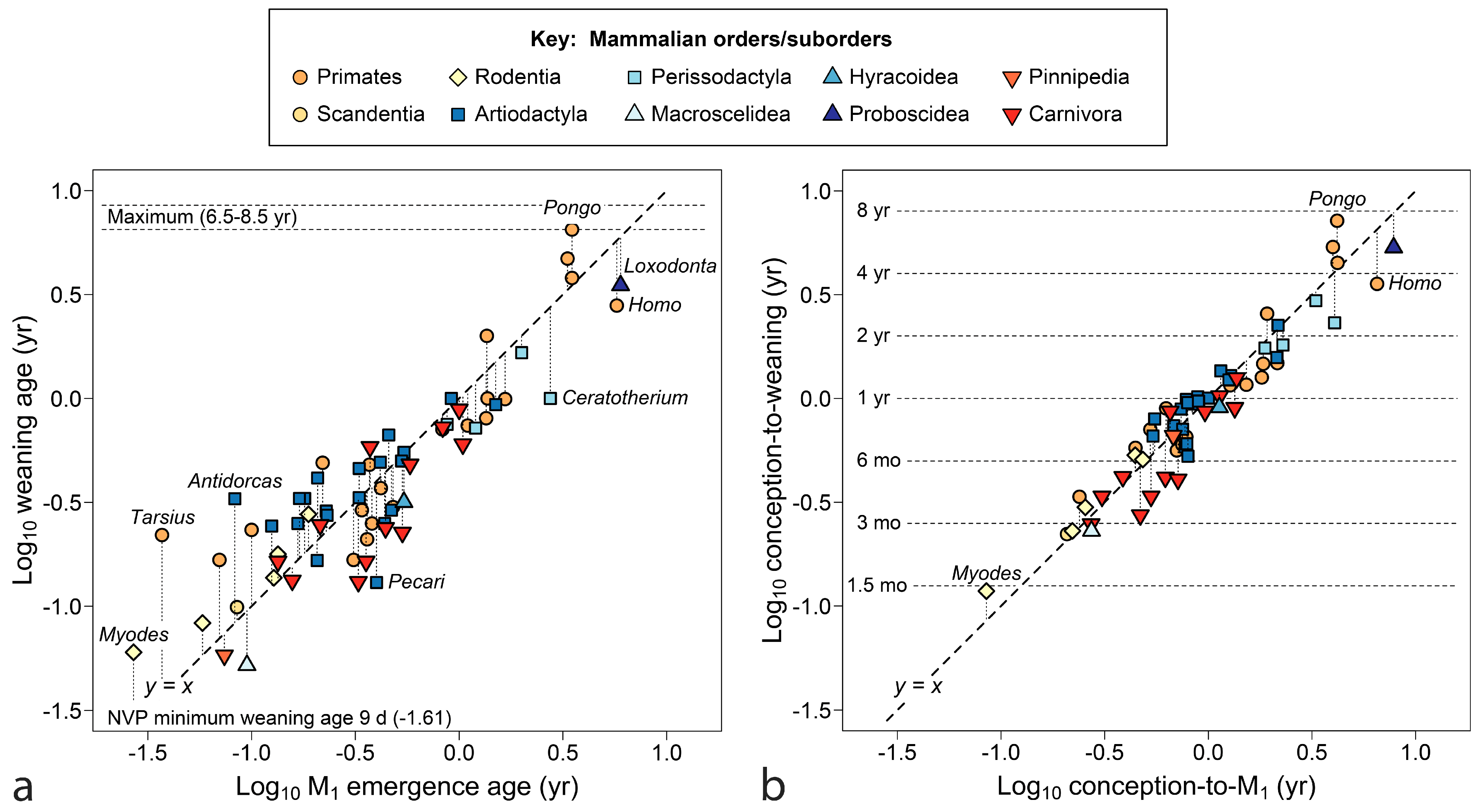Biology 13 00612 g006 Biology 13 00612 g006