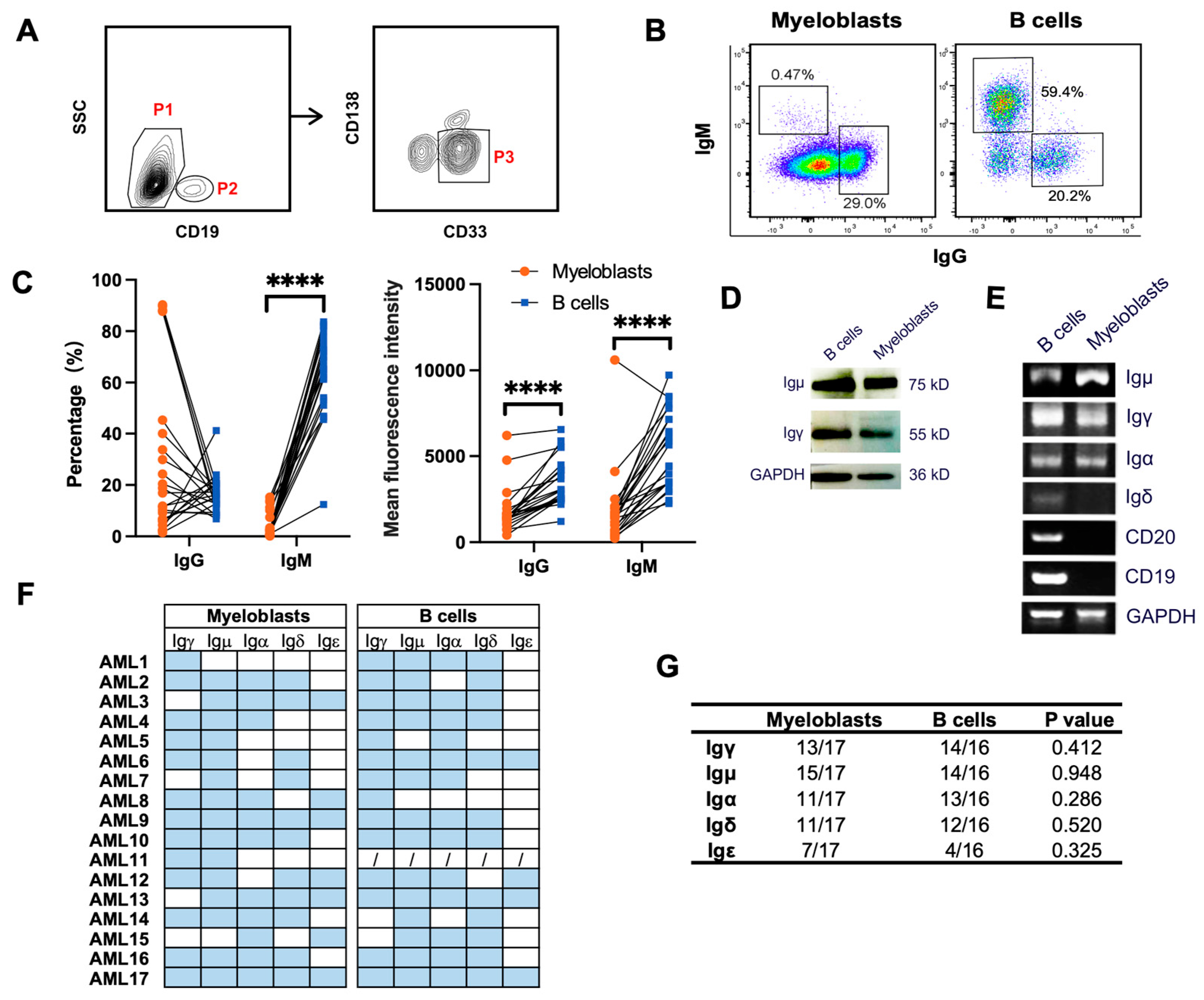 Biology 13 00613 g002